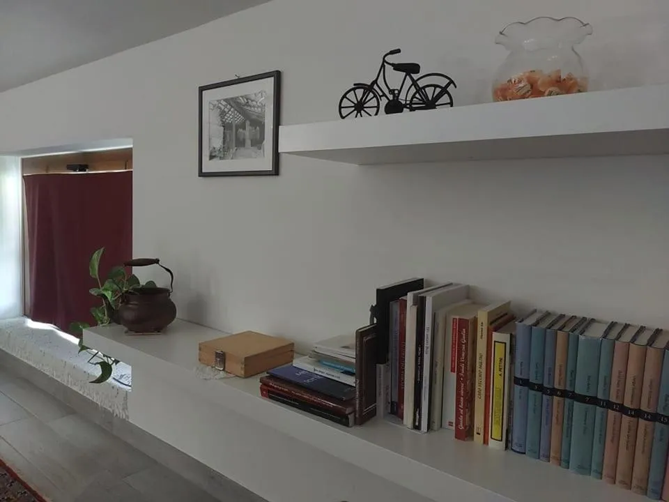 Library in B&B Books & Bikes