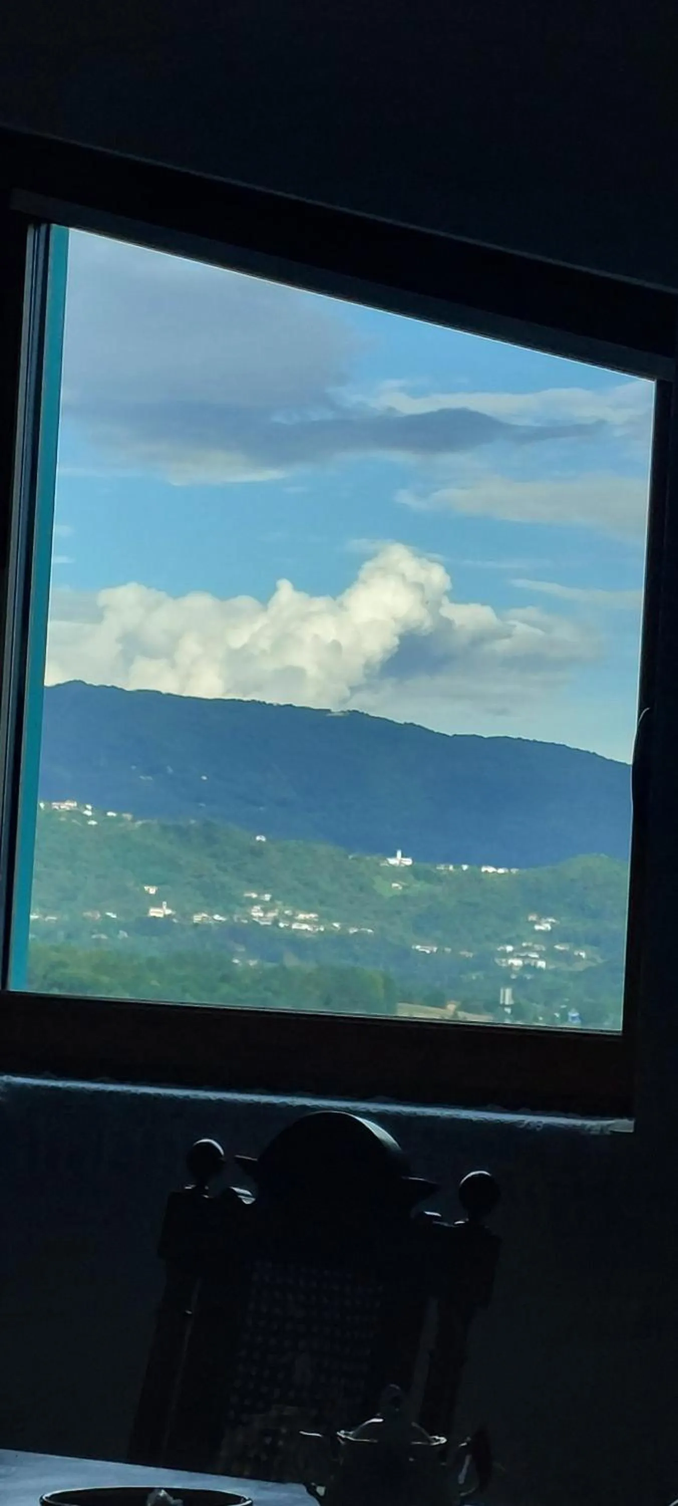 City view in B&B Books & Bikes