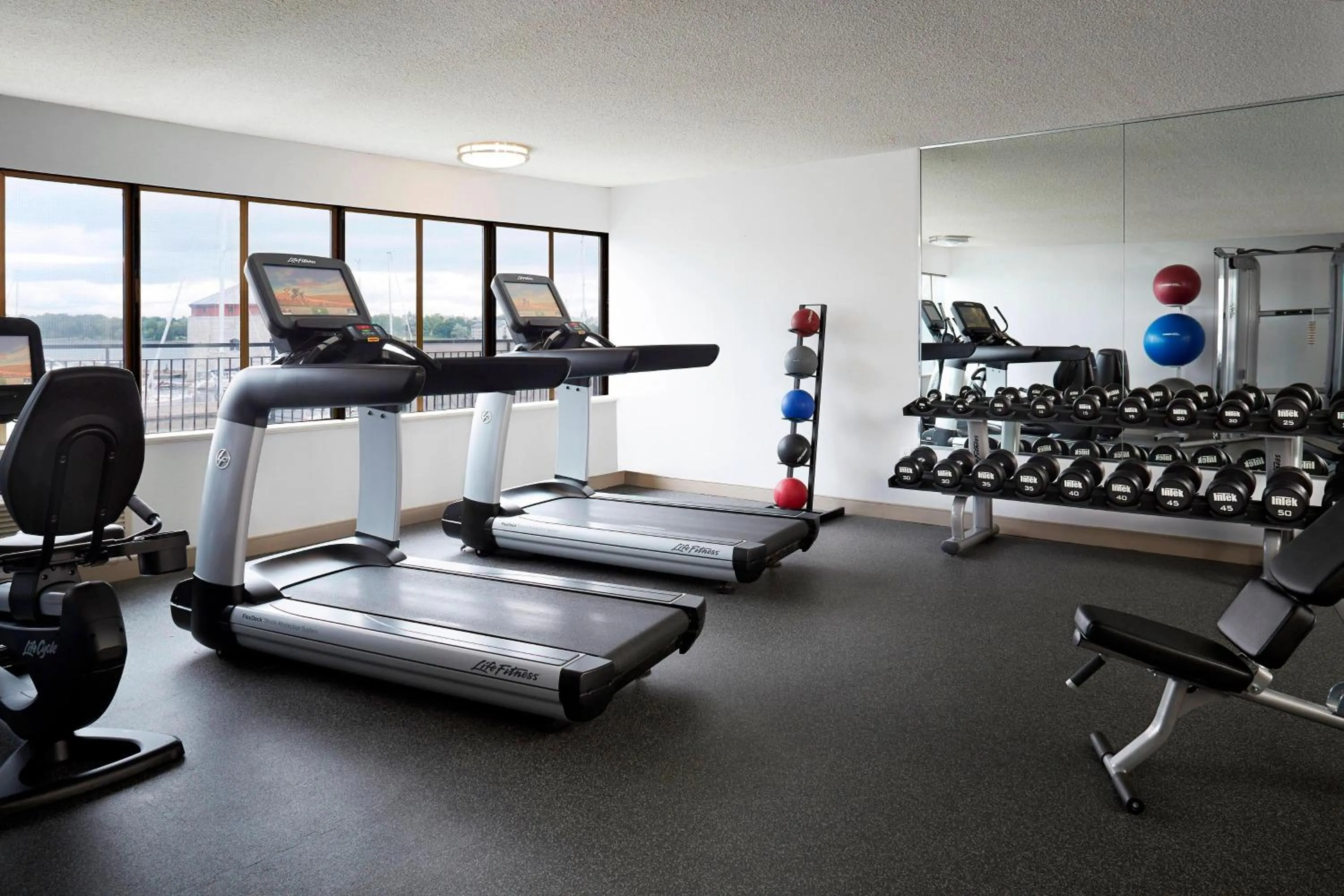 Fitness centre/facilities in Delta Hotels by Marriott Kingston Waterfront