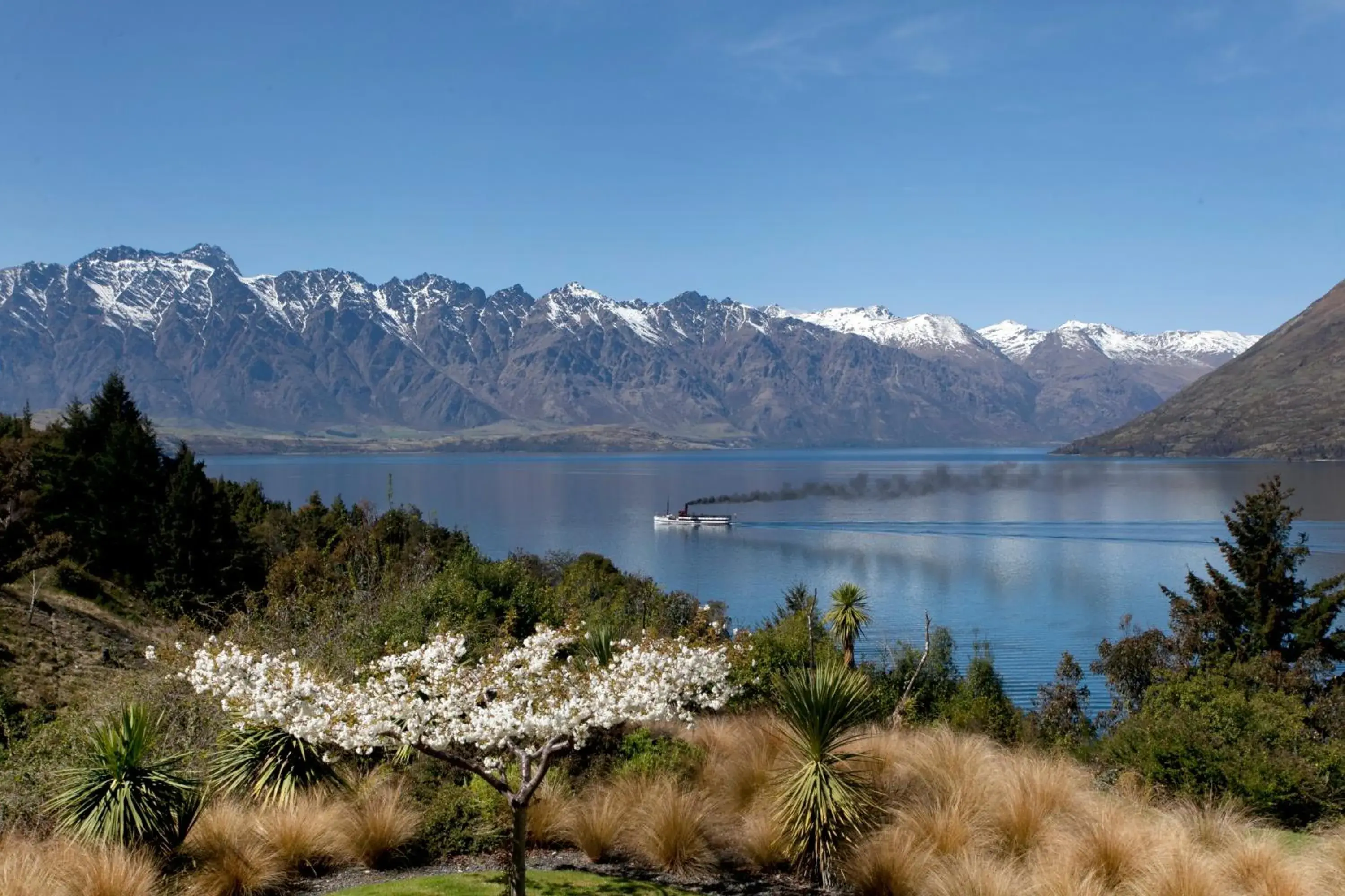 Garden in Hidden Lodge Queenstown