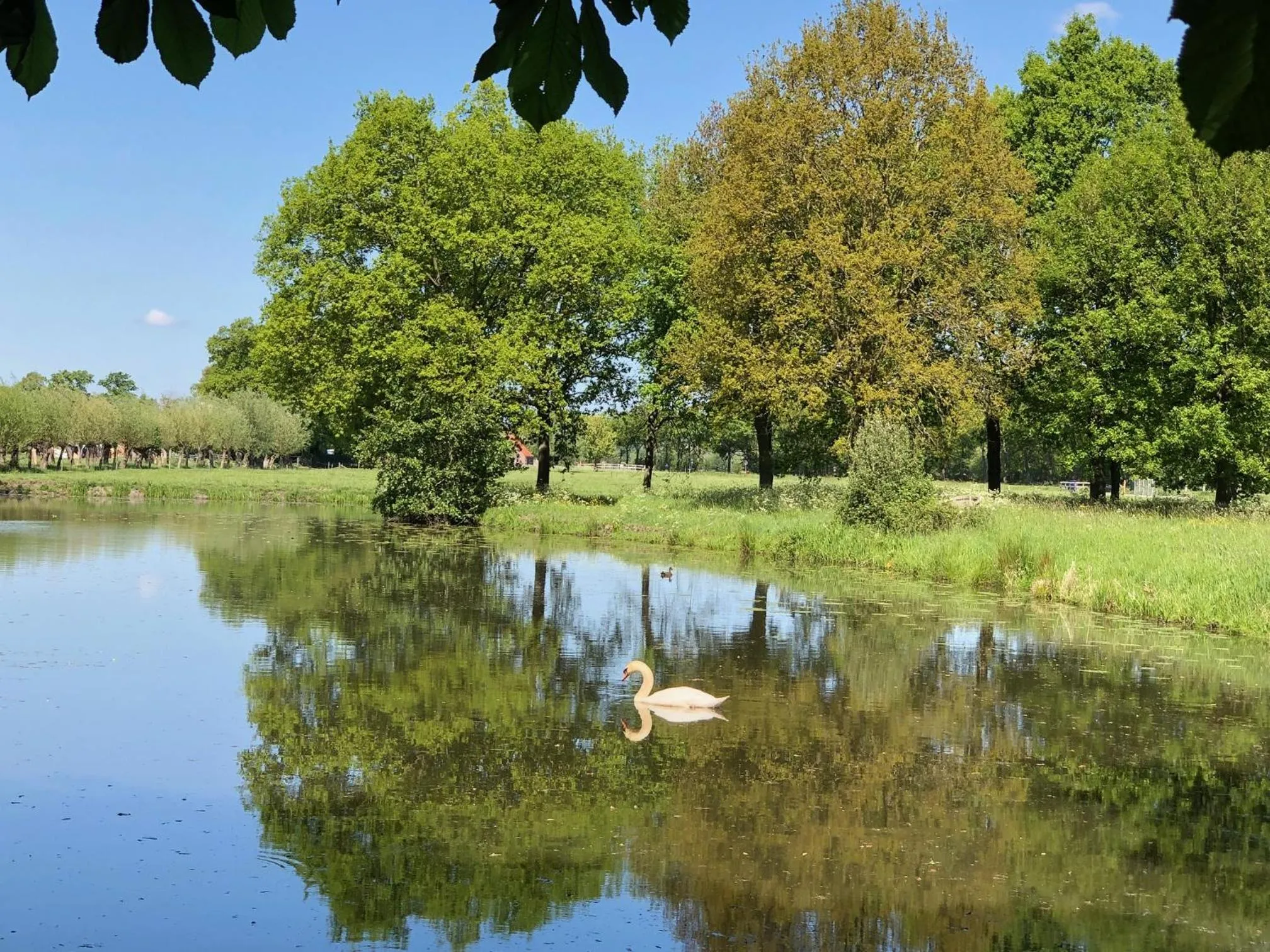 Day in Kasteel Sterkenburg