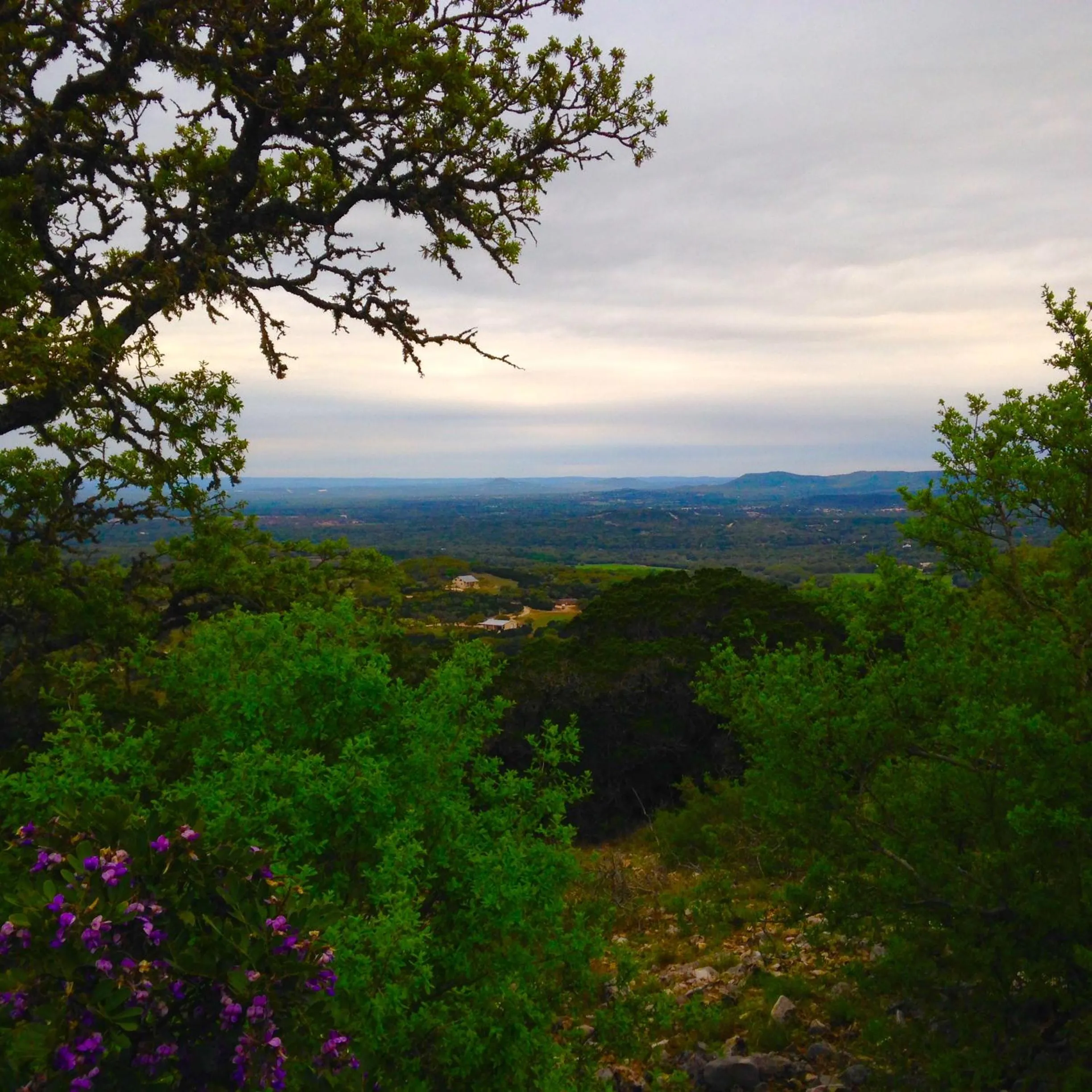 Off site in Glory Hills Ranch