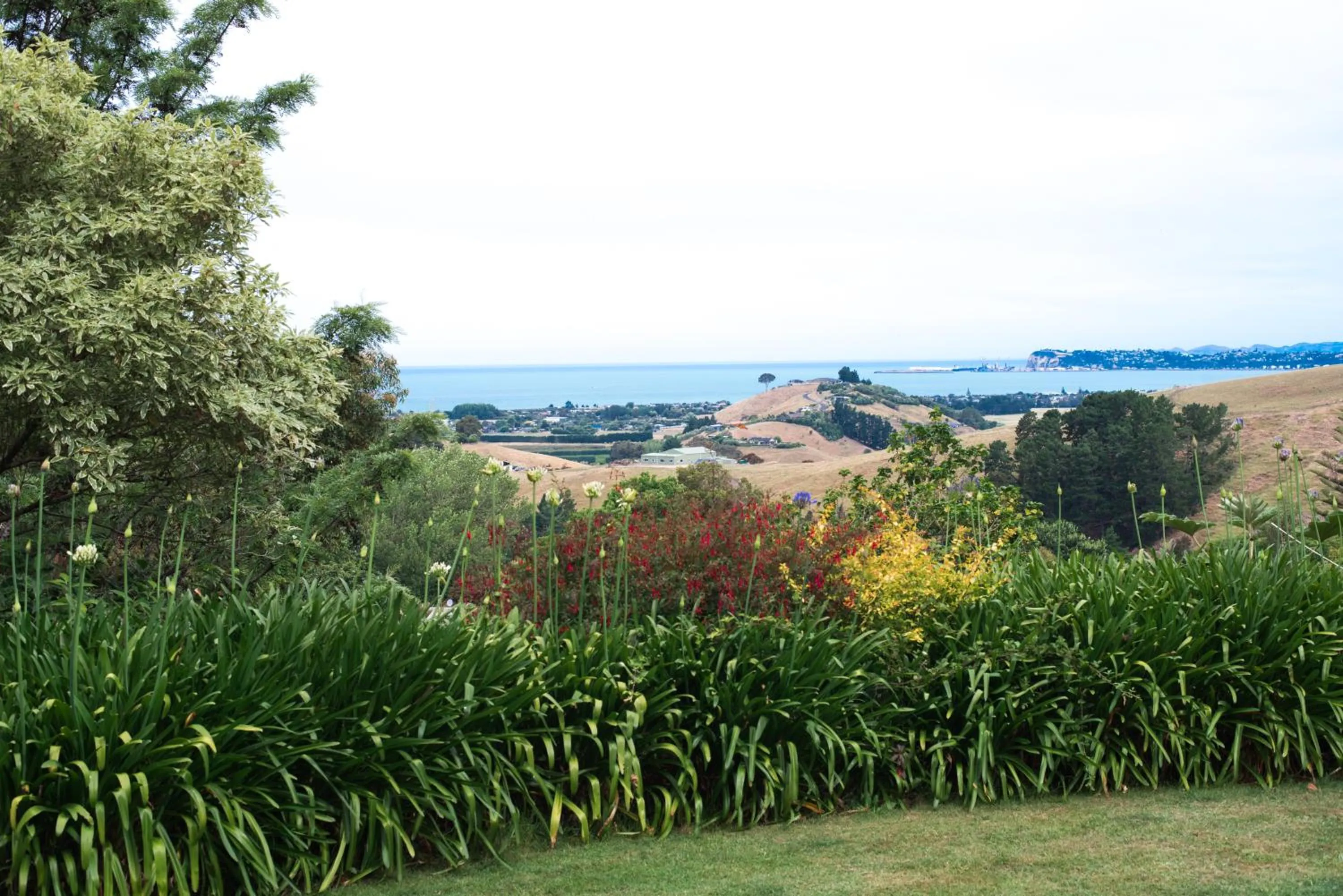 Sea view in Seahurst Apartment