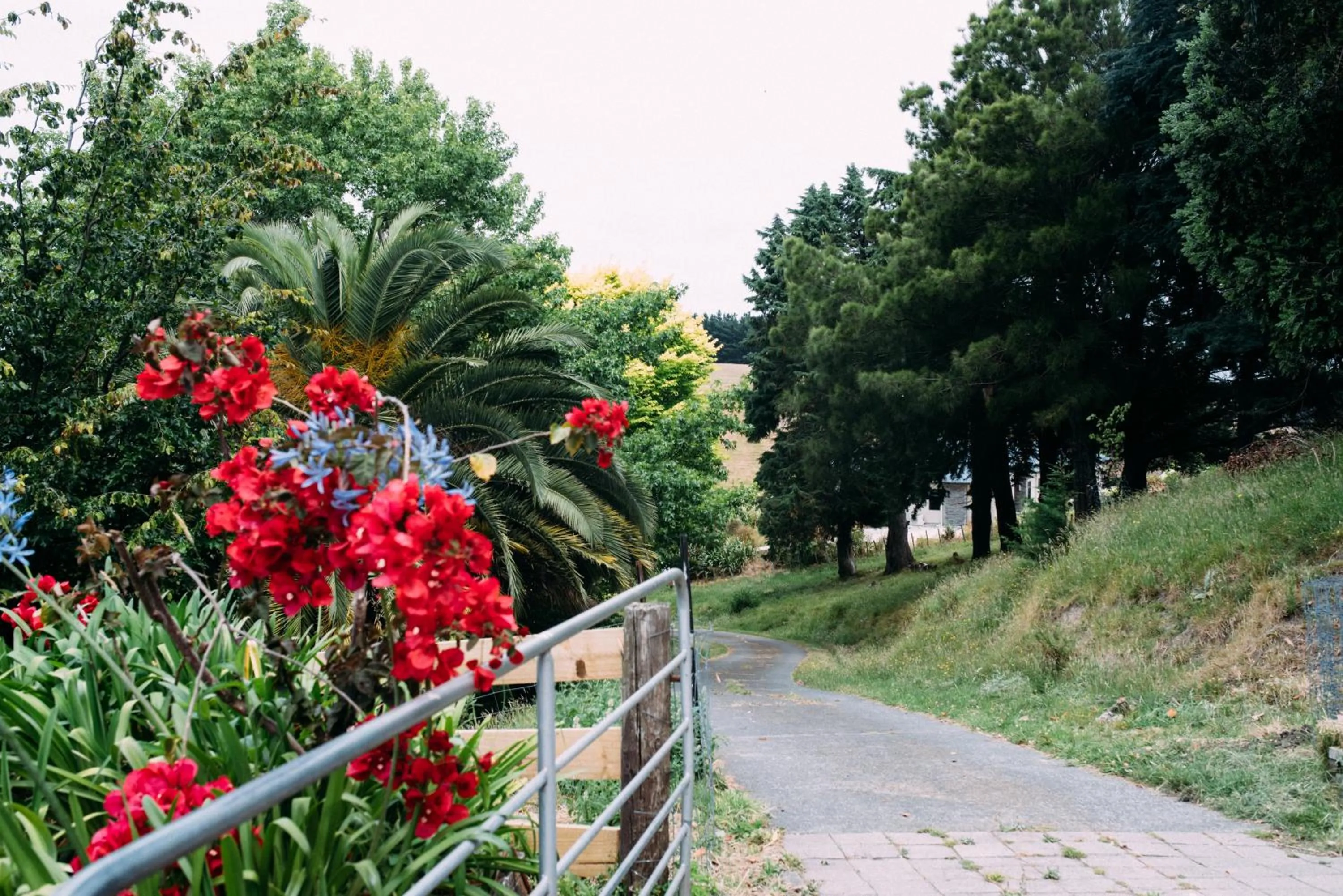 Garden in Seahurst Apartment