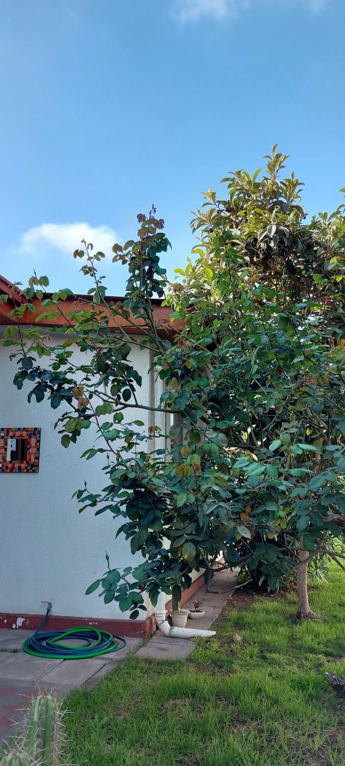 Day in Hotel Chagual