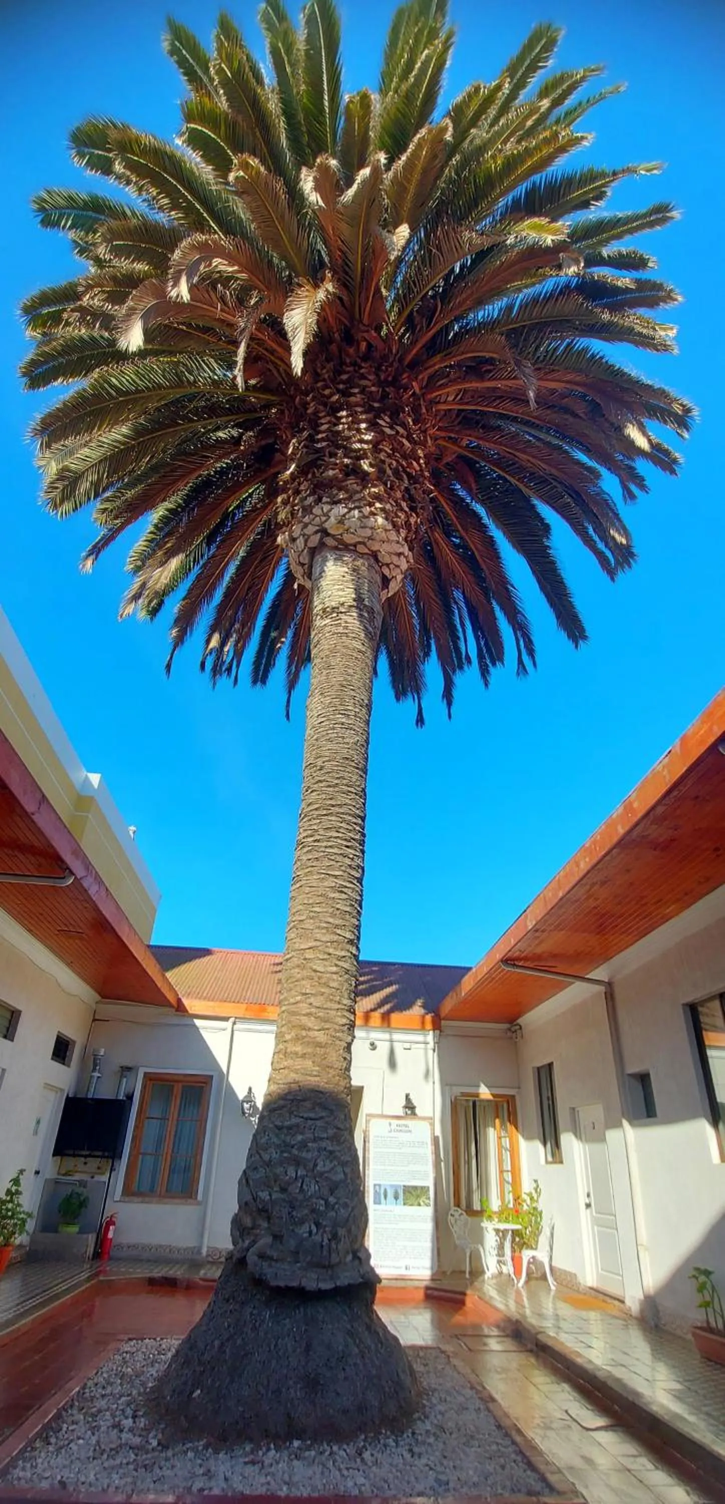Inner courtyard view in Hotel Chagual