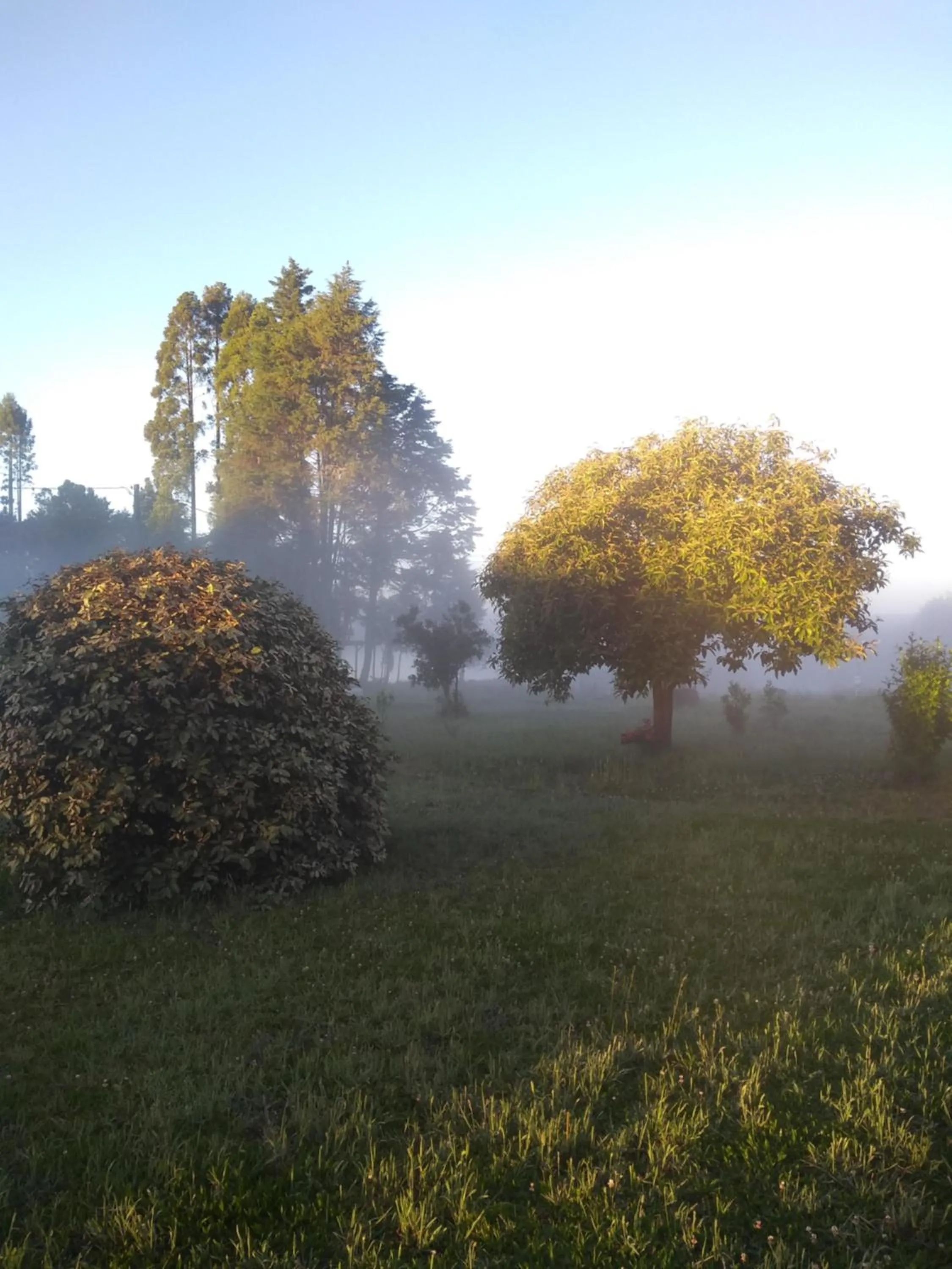 Garden in Pousada Recanto do Lago