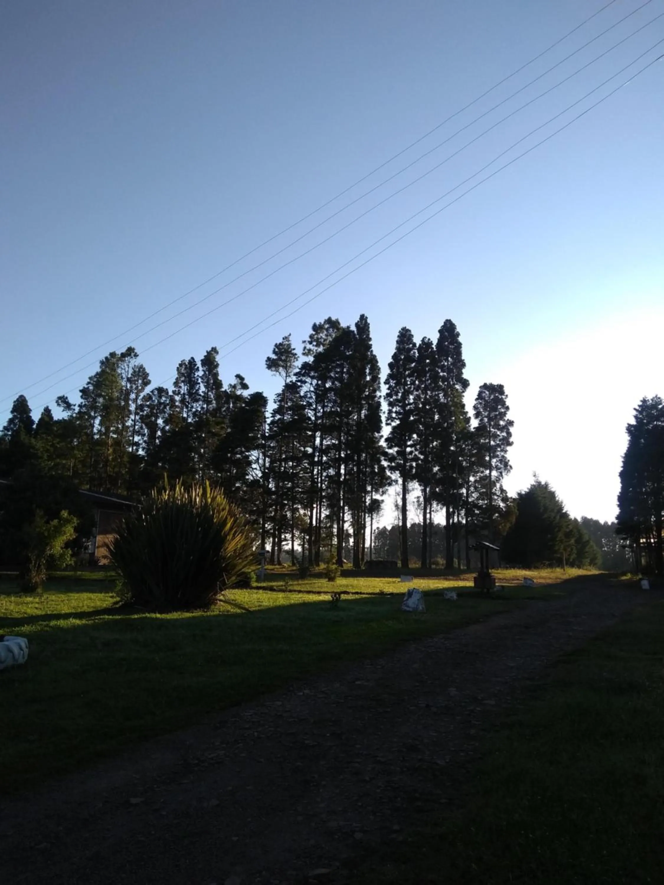 Garden in Pousada Recanto do Lago