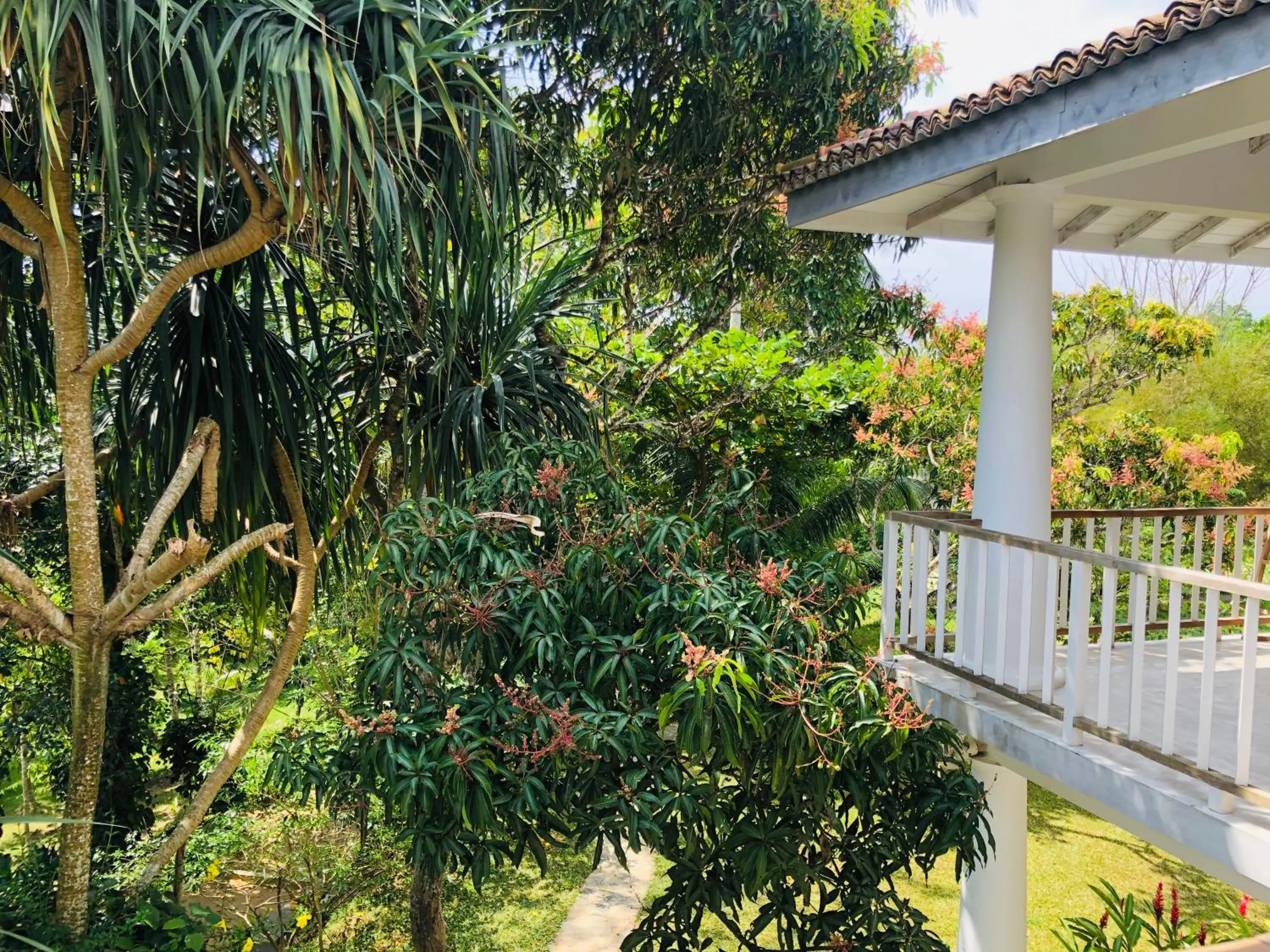 Garden in Good Vibes Villas