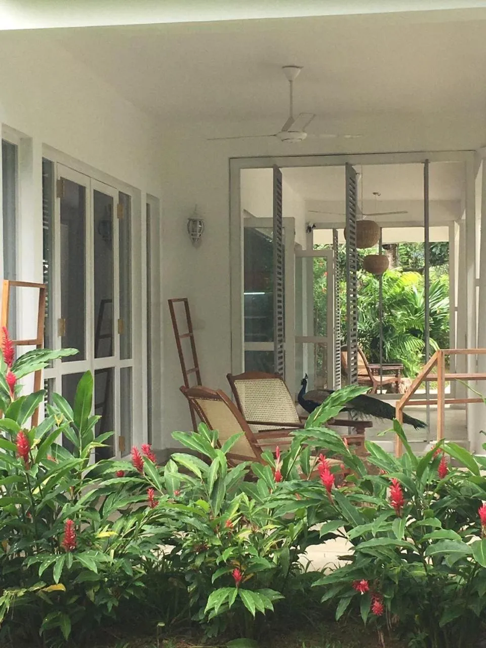 Patio in Good Vibes Villas