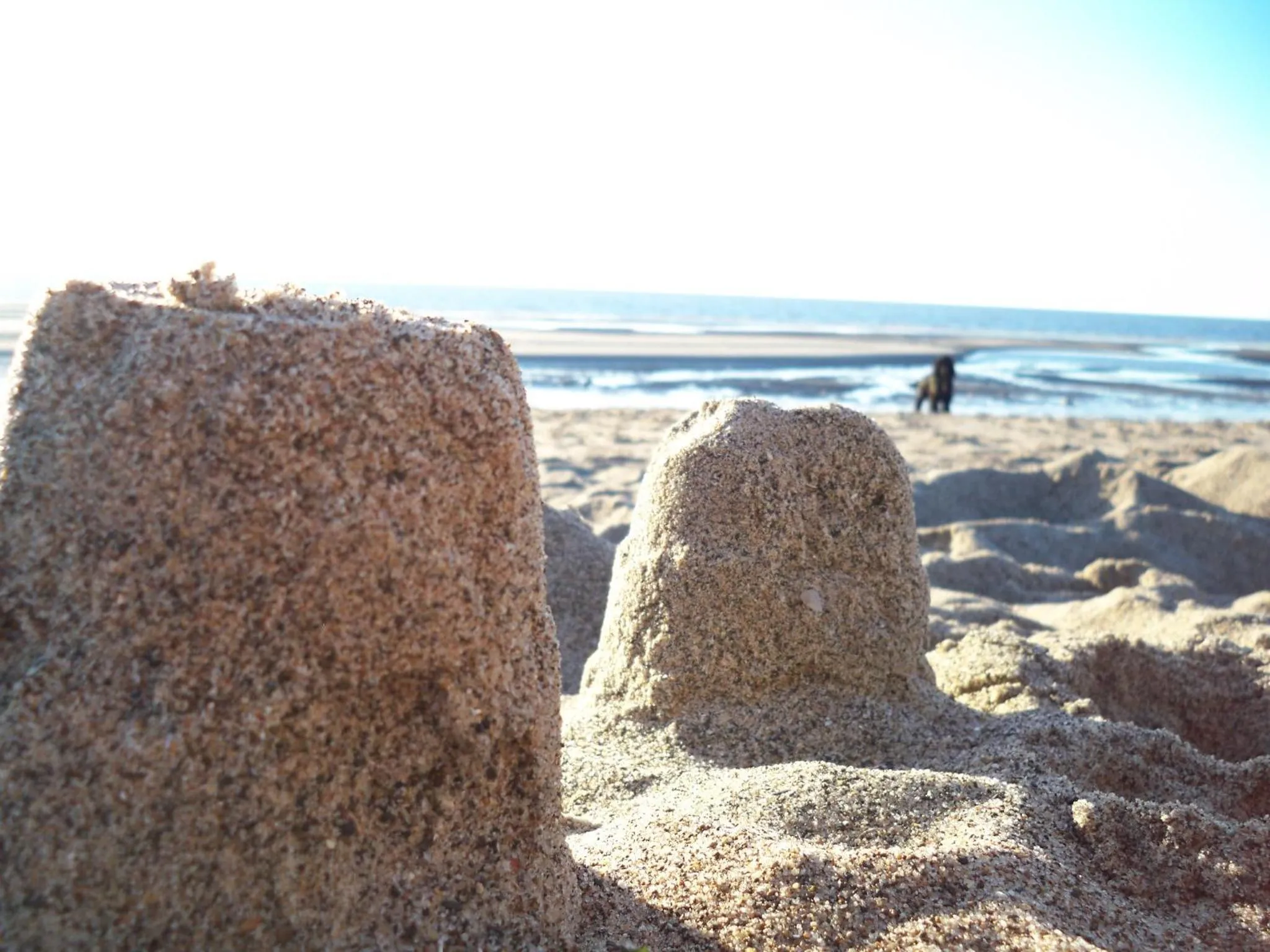 Natural landscape in Westdene