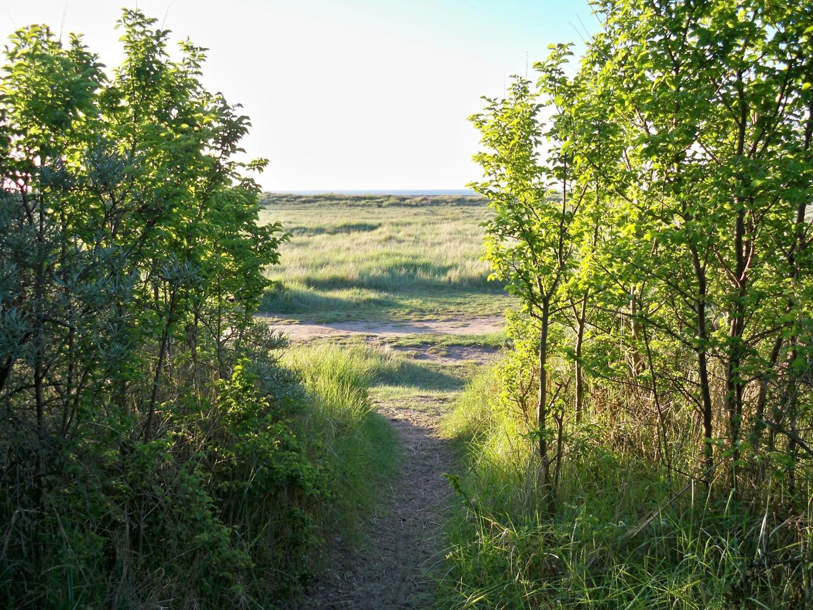 Natural landscape in Westdene