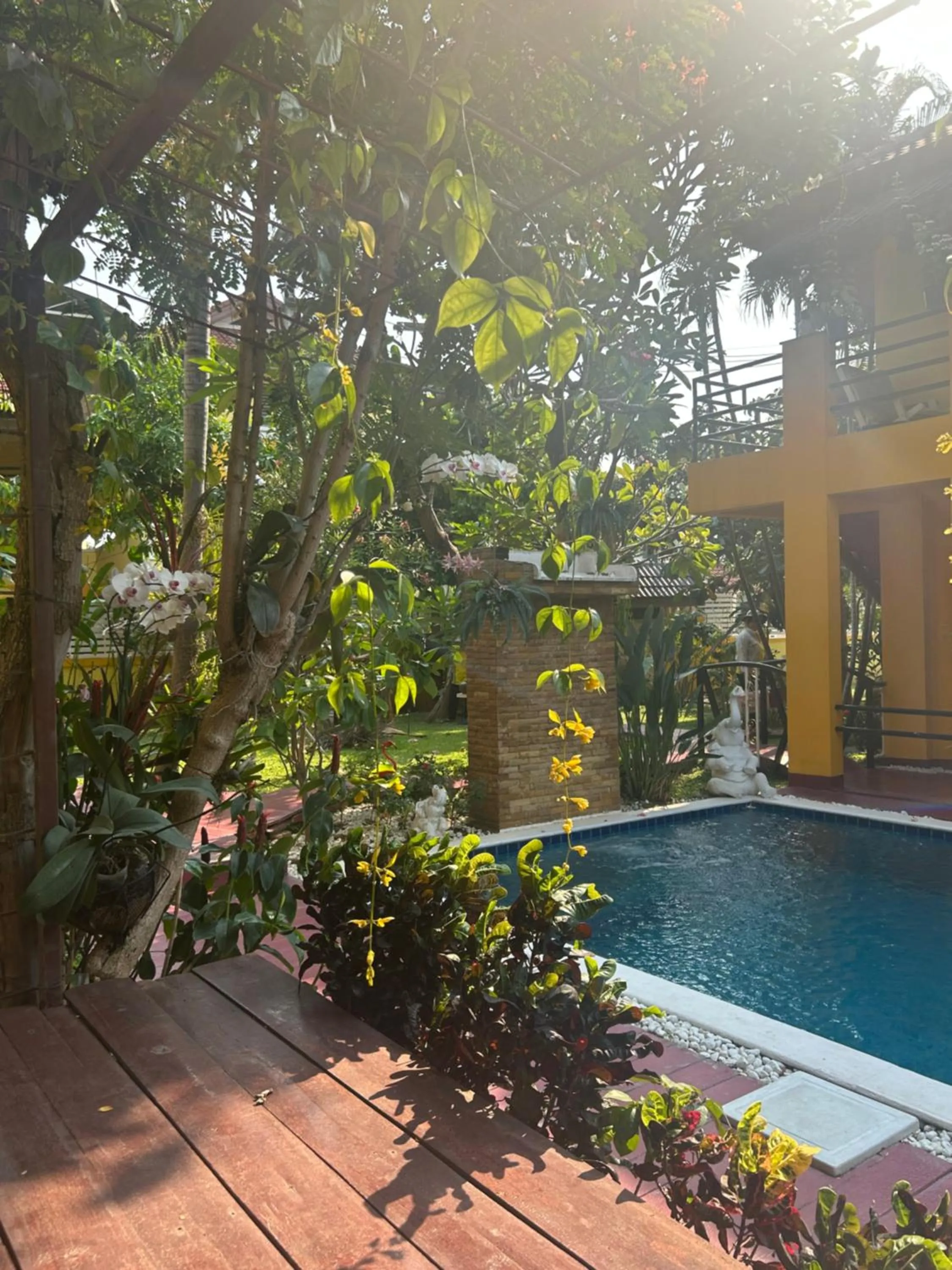 Swimming pool in Olivier Boutique