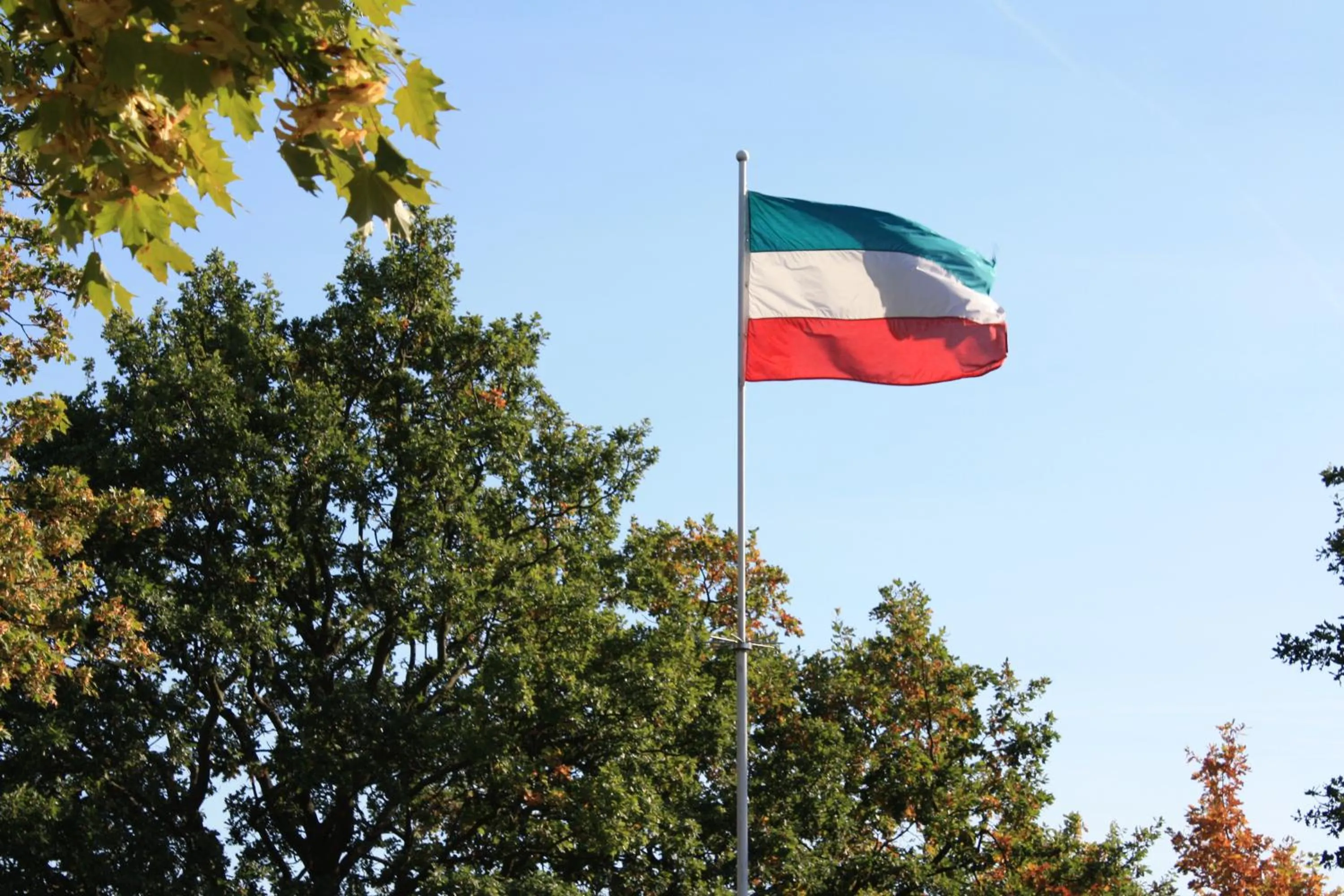 Area and facilities in Hotel Scholz