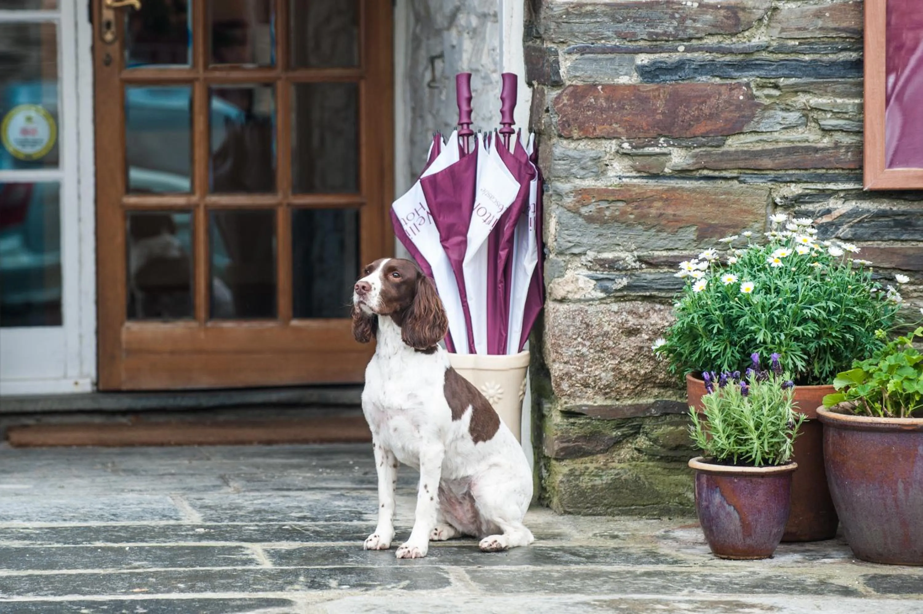 Lobby or reception in The Wellington Hotel