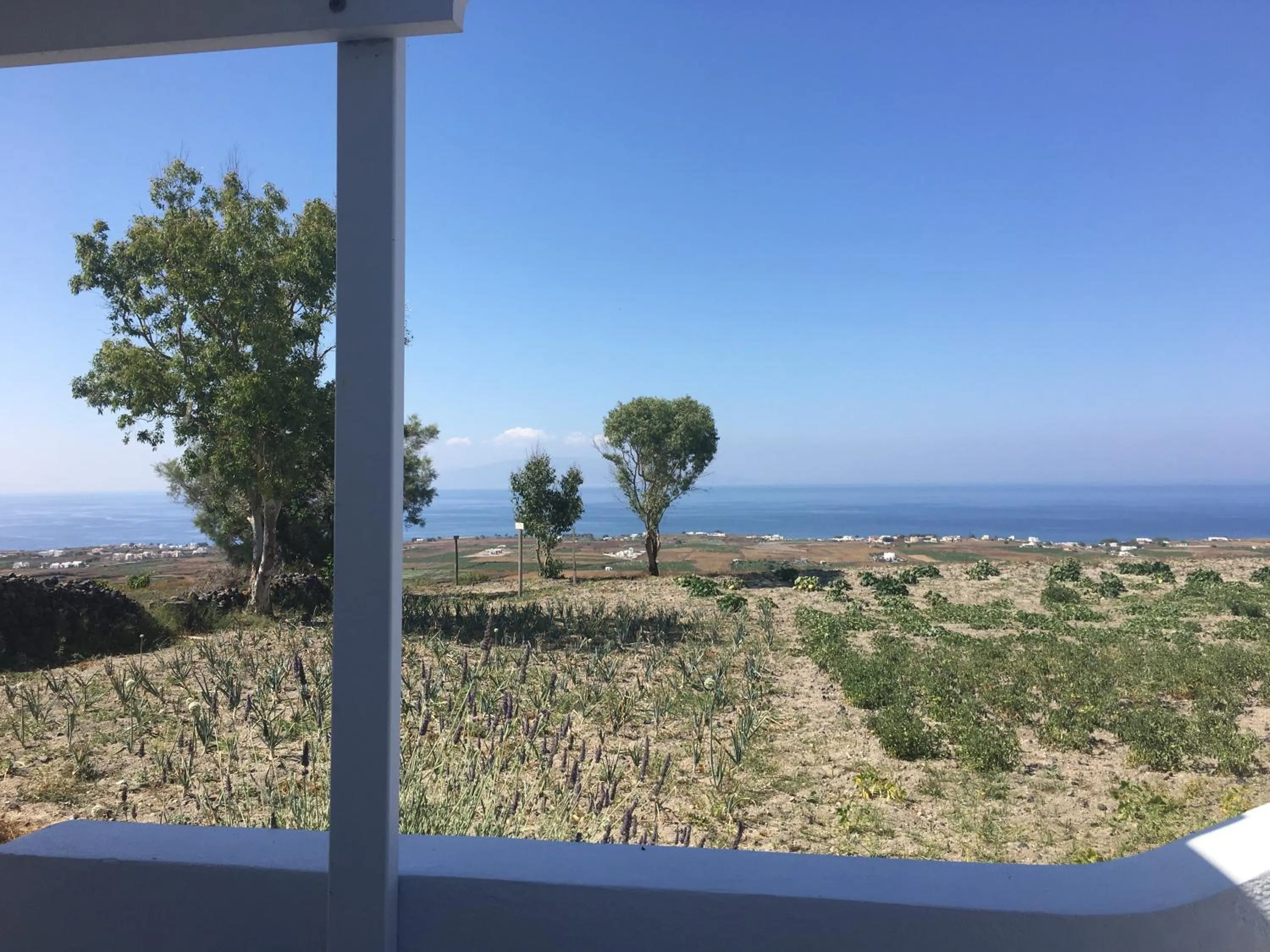 Day in Unique Galini Oia - Adults Only