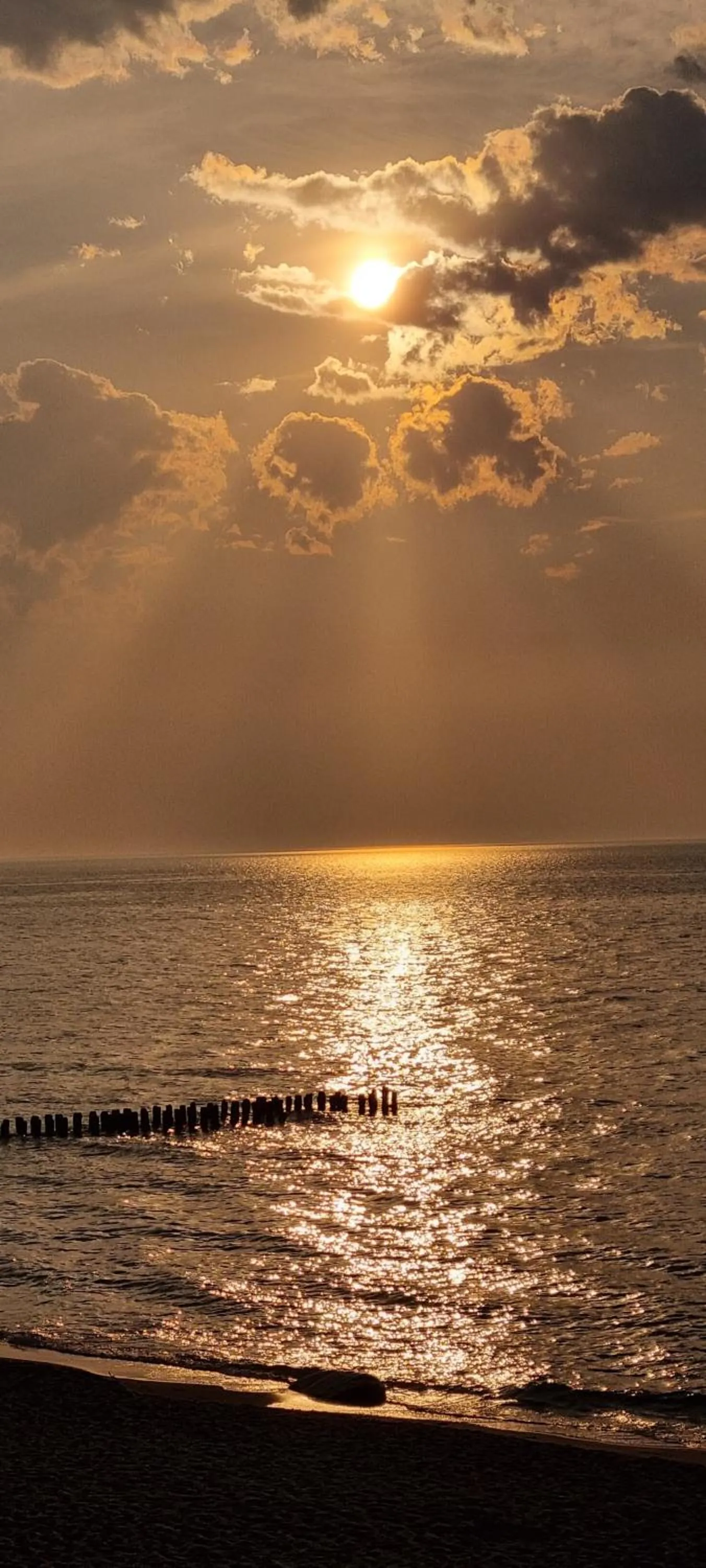 Natural landscape in Great Polonia Sand Beach Mielno