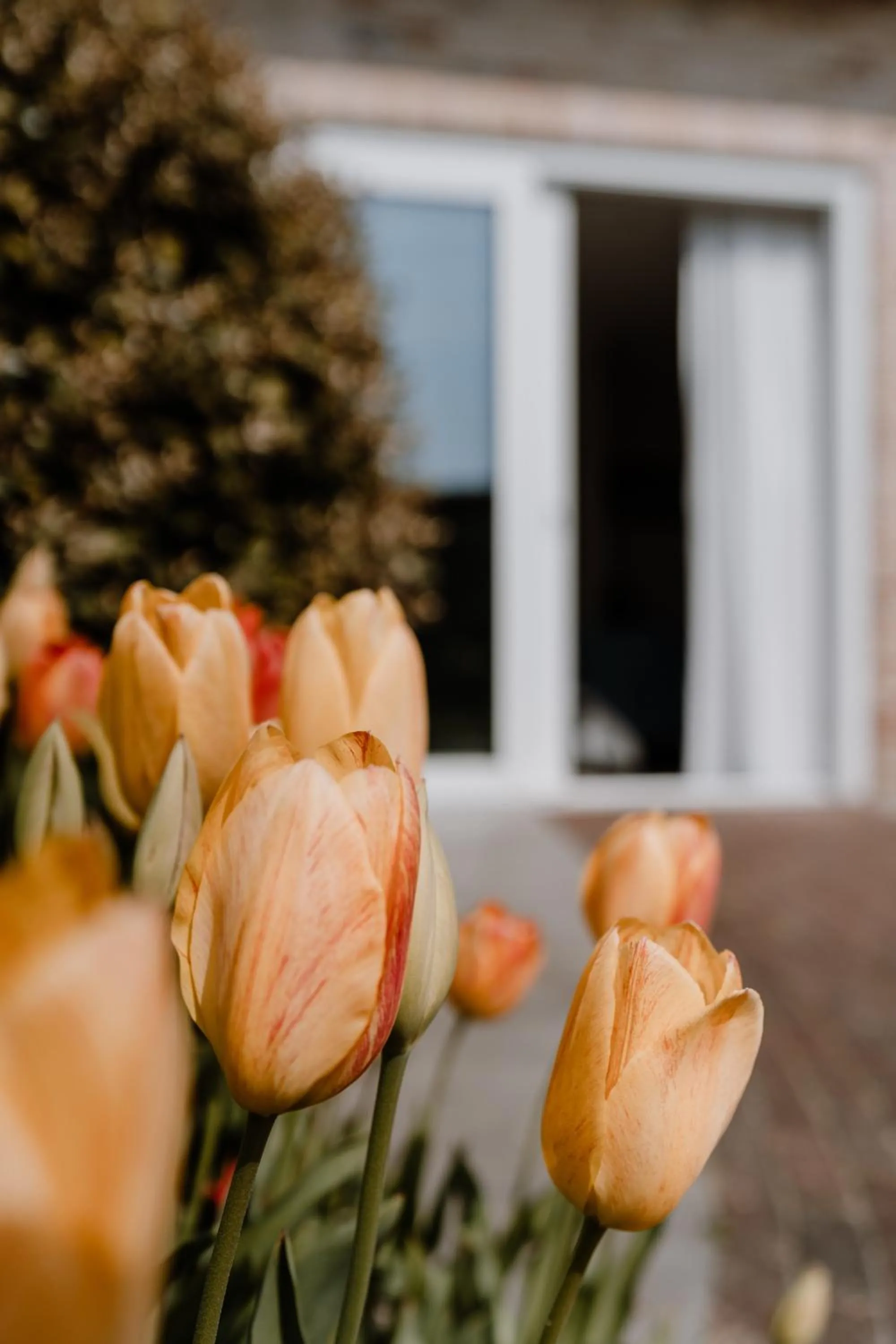 Duinvilla Aan de Zee B&B