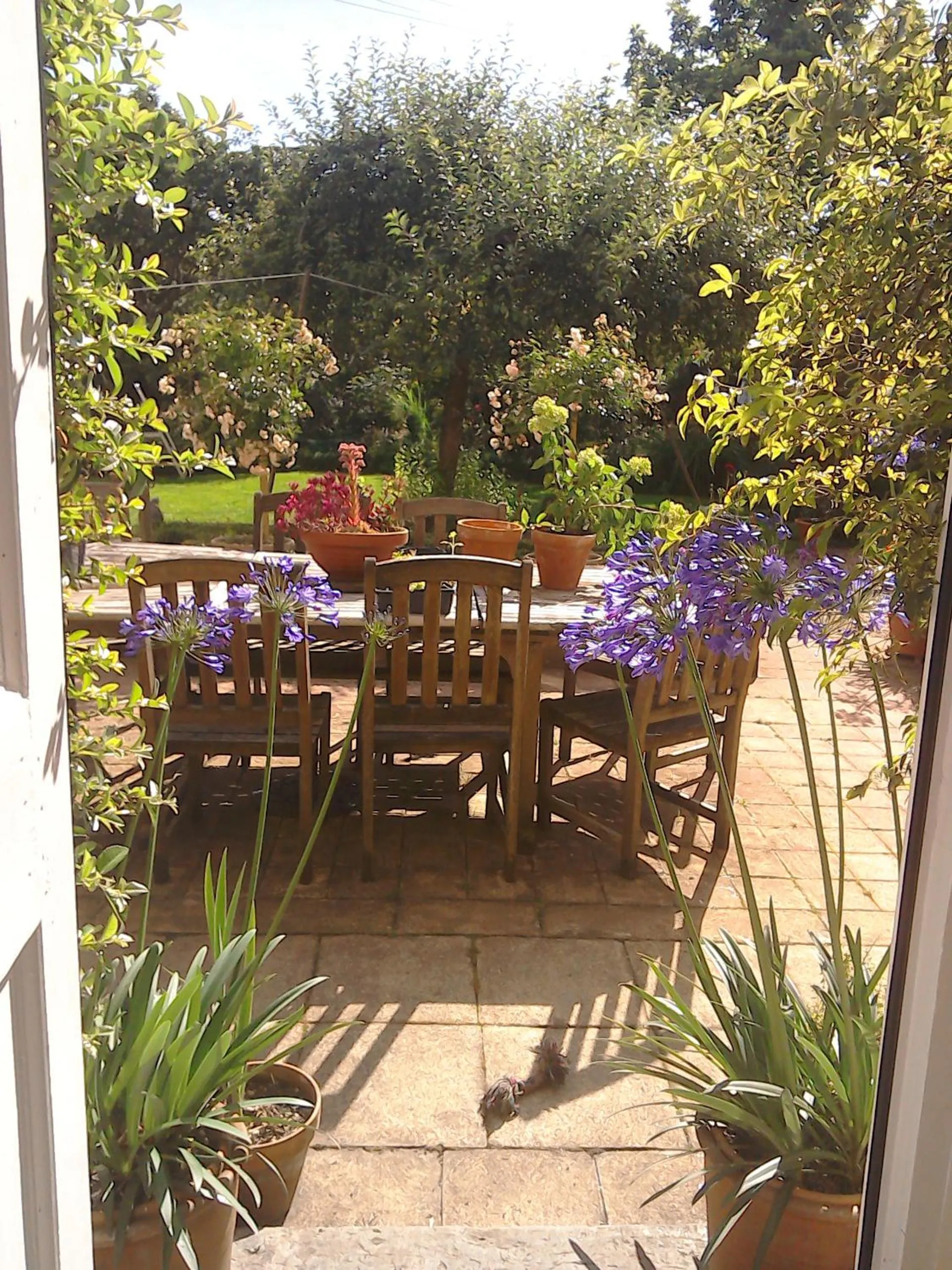 Garden in Heron House