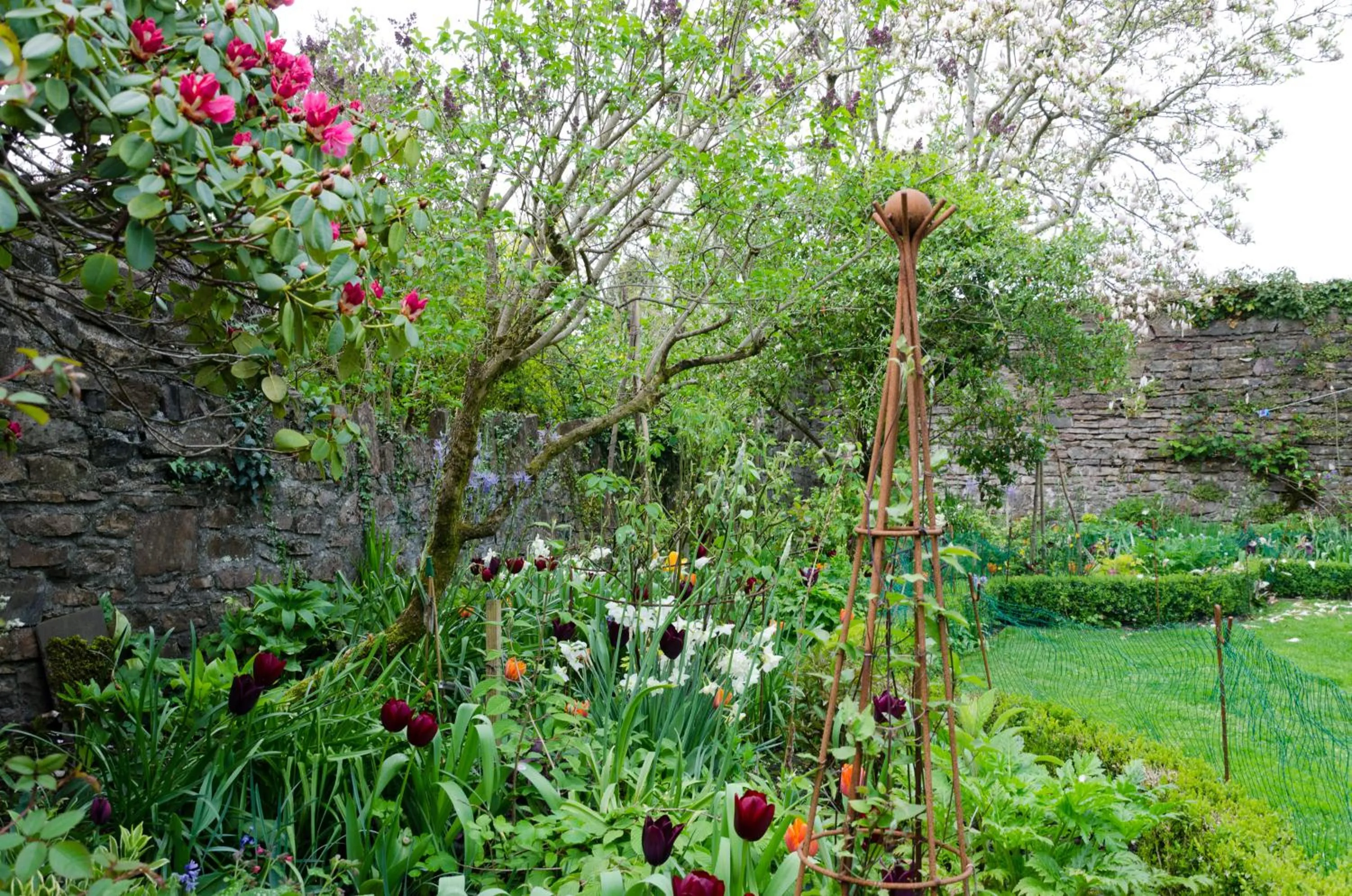 Garden in Heron House