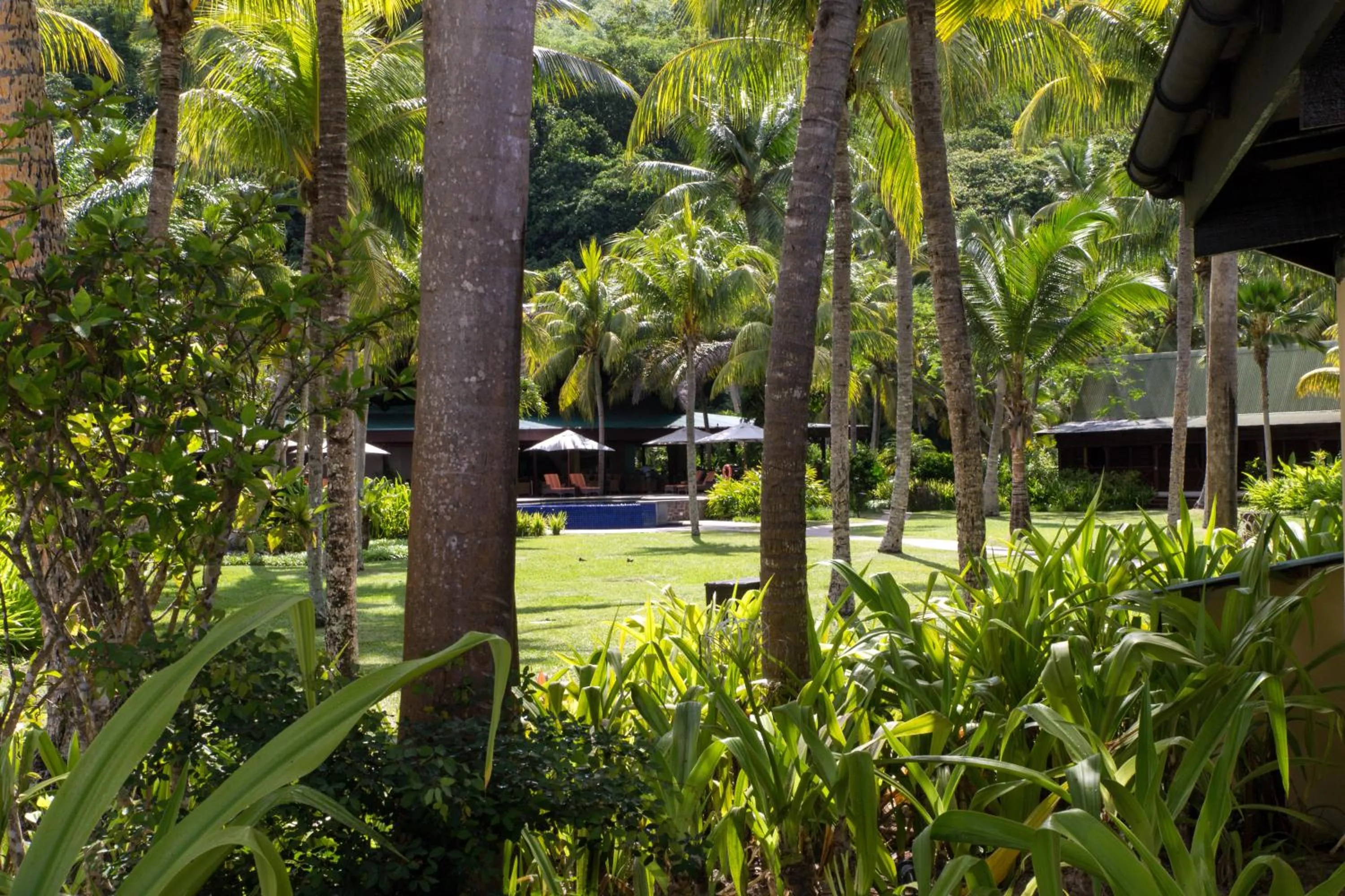 Garden in Paradise Sun Hotel Seychelles