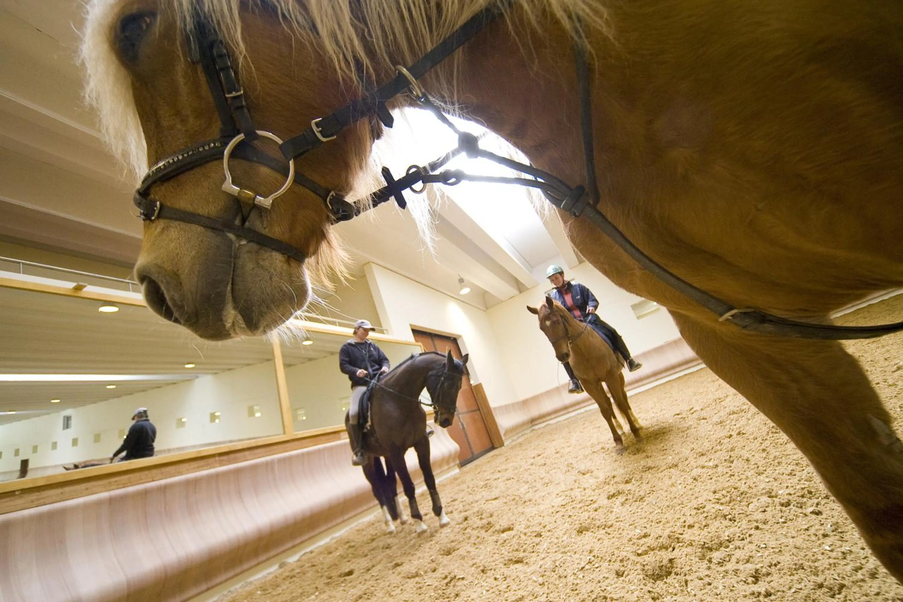 People in Quellenhof Luxury Resort Passeier