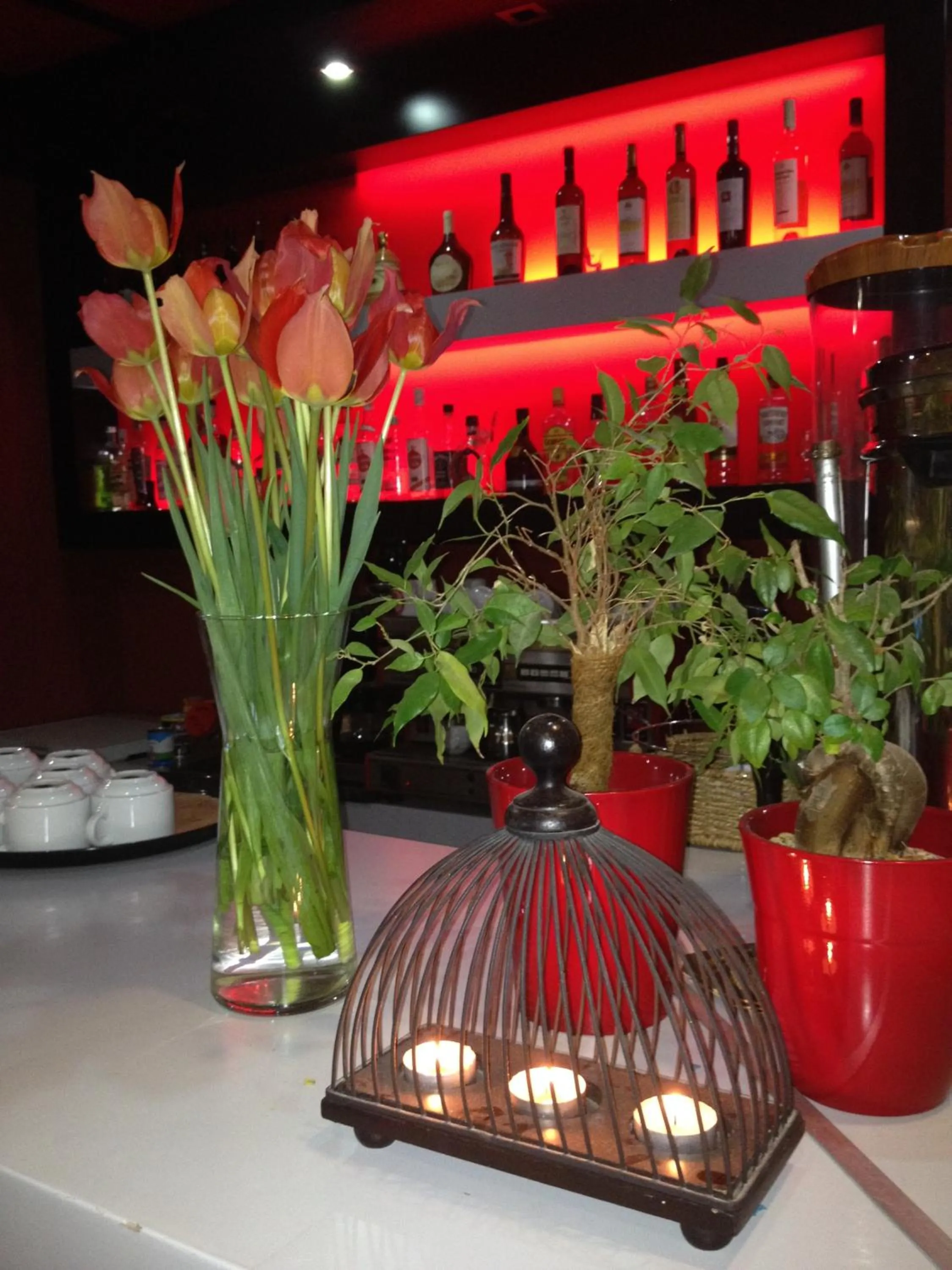 Drinks in Morning Star