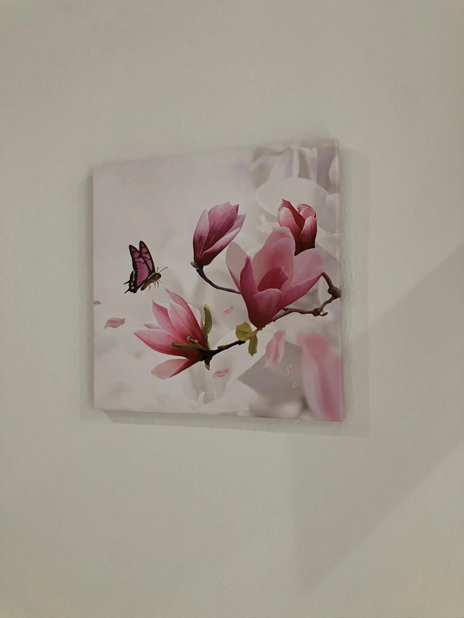 Decorative detail in Hotel Saini with Air conditioning