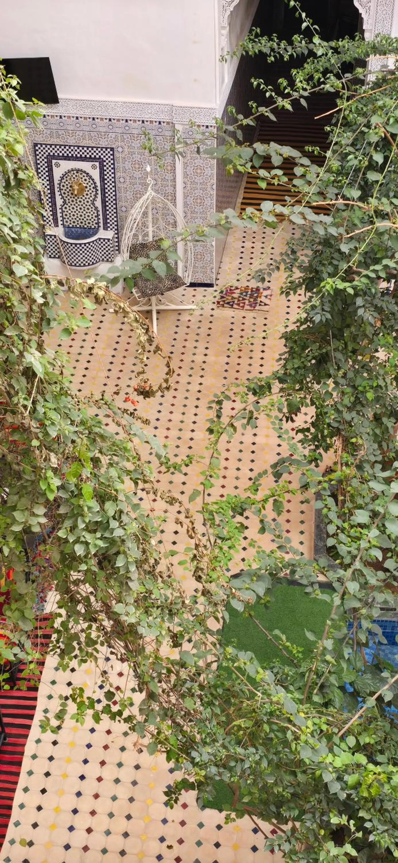 Day in Riad Raffaa