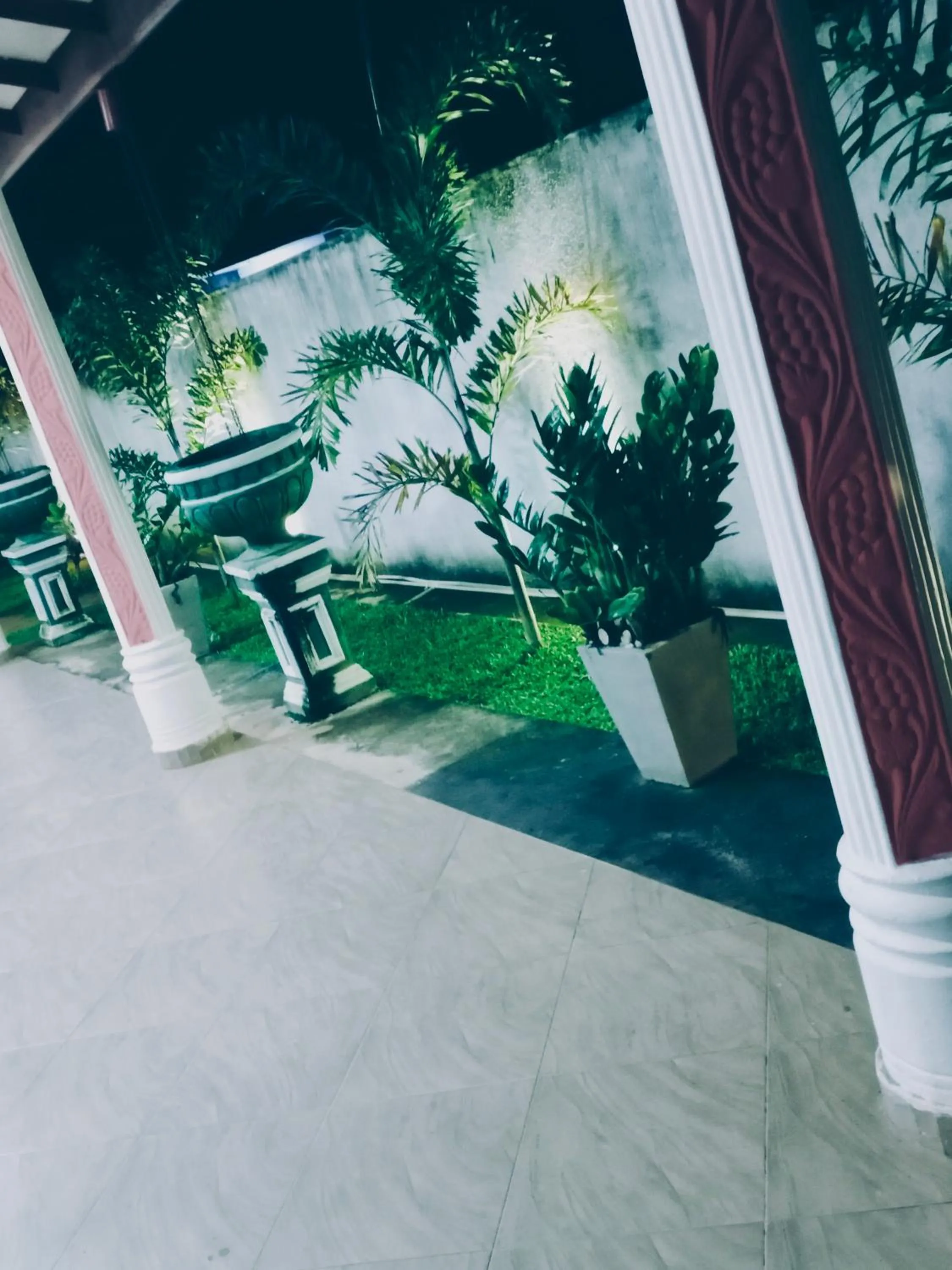 Garden view in Relax Homestay