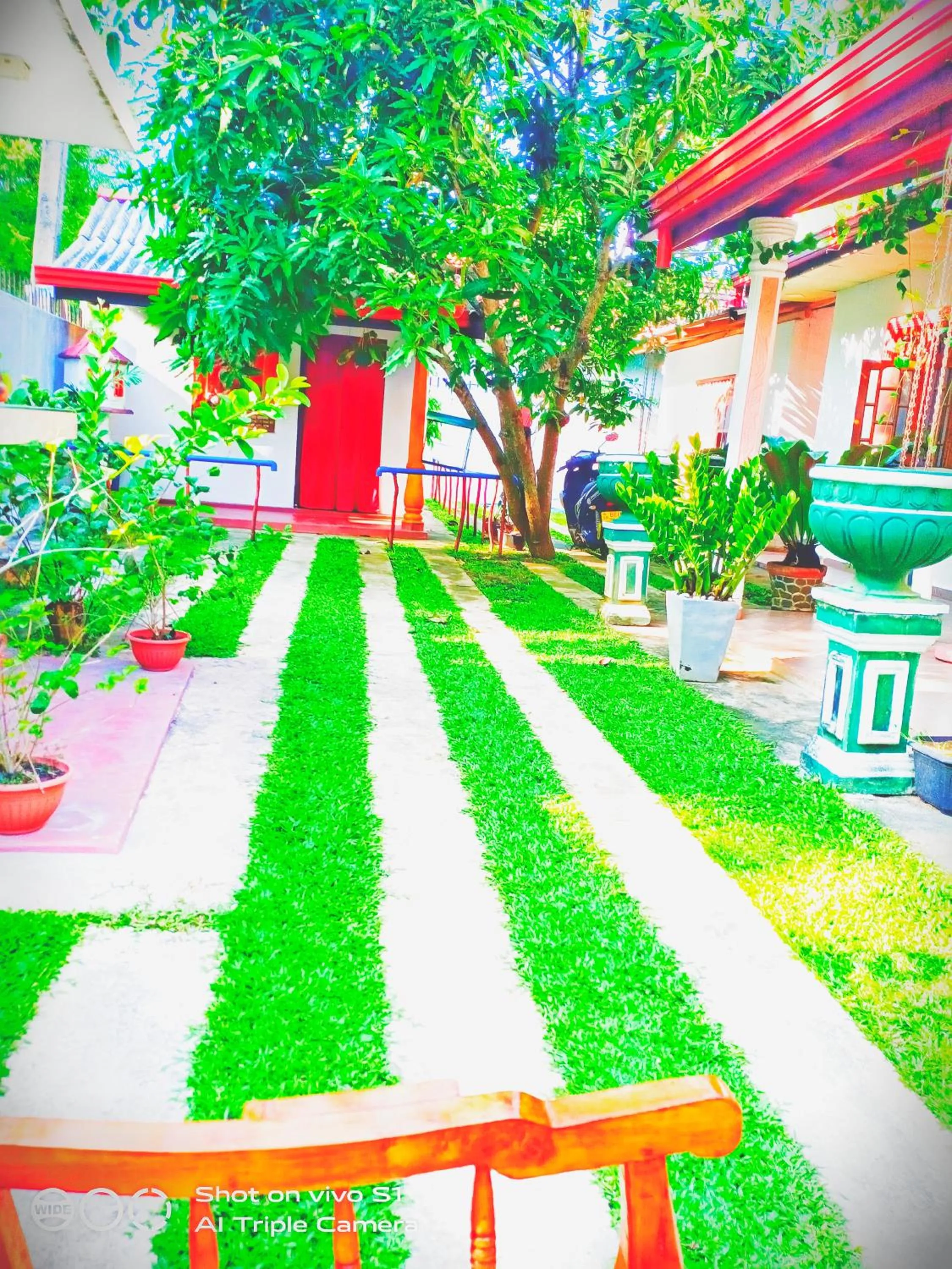 Garden in Relax Homestay