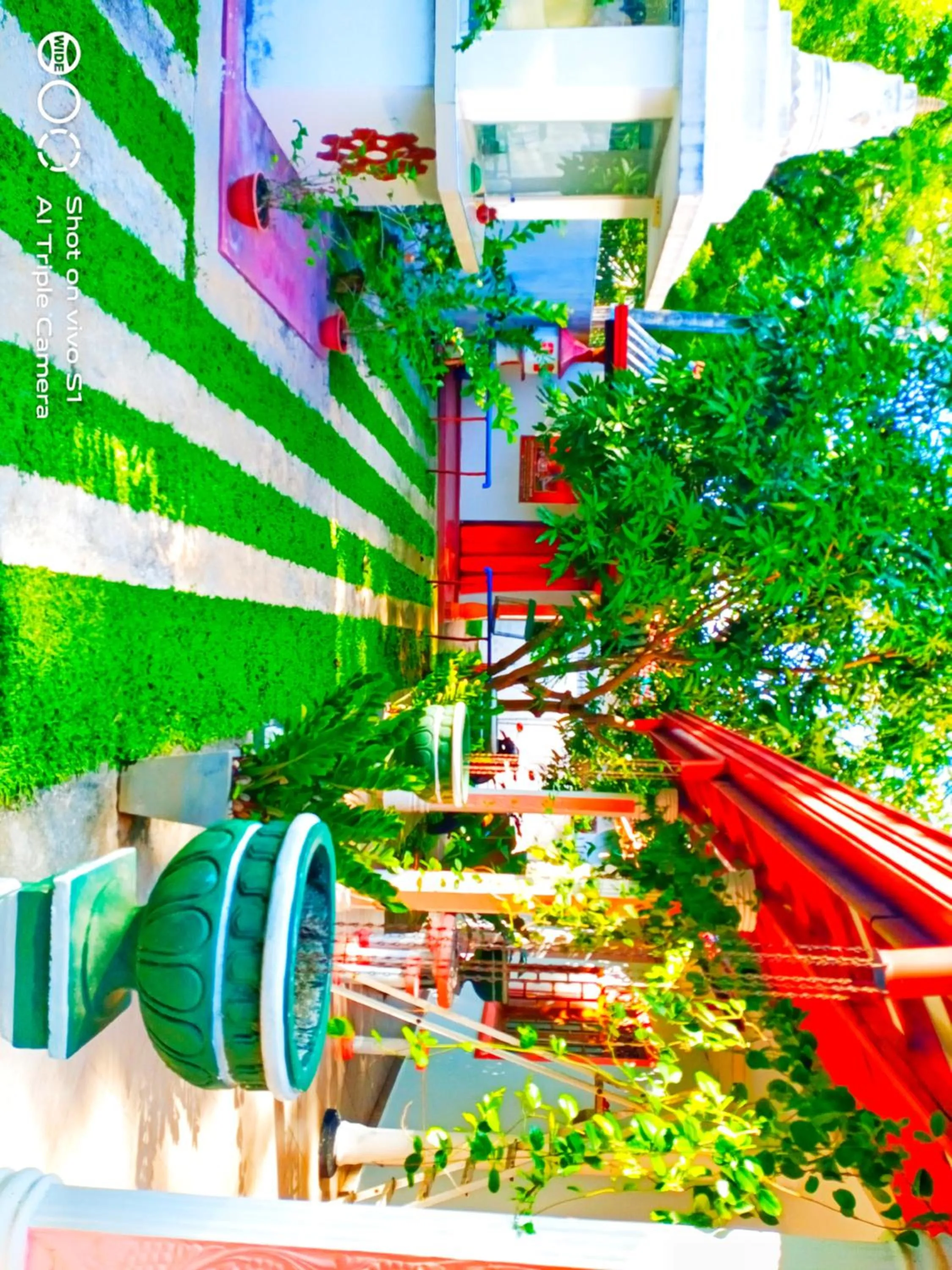 Garden in Relax Homestay