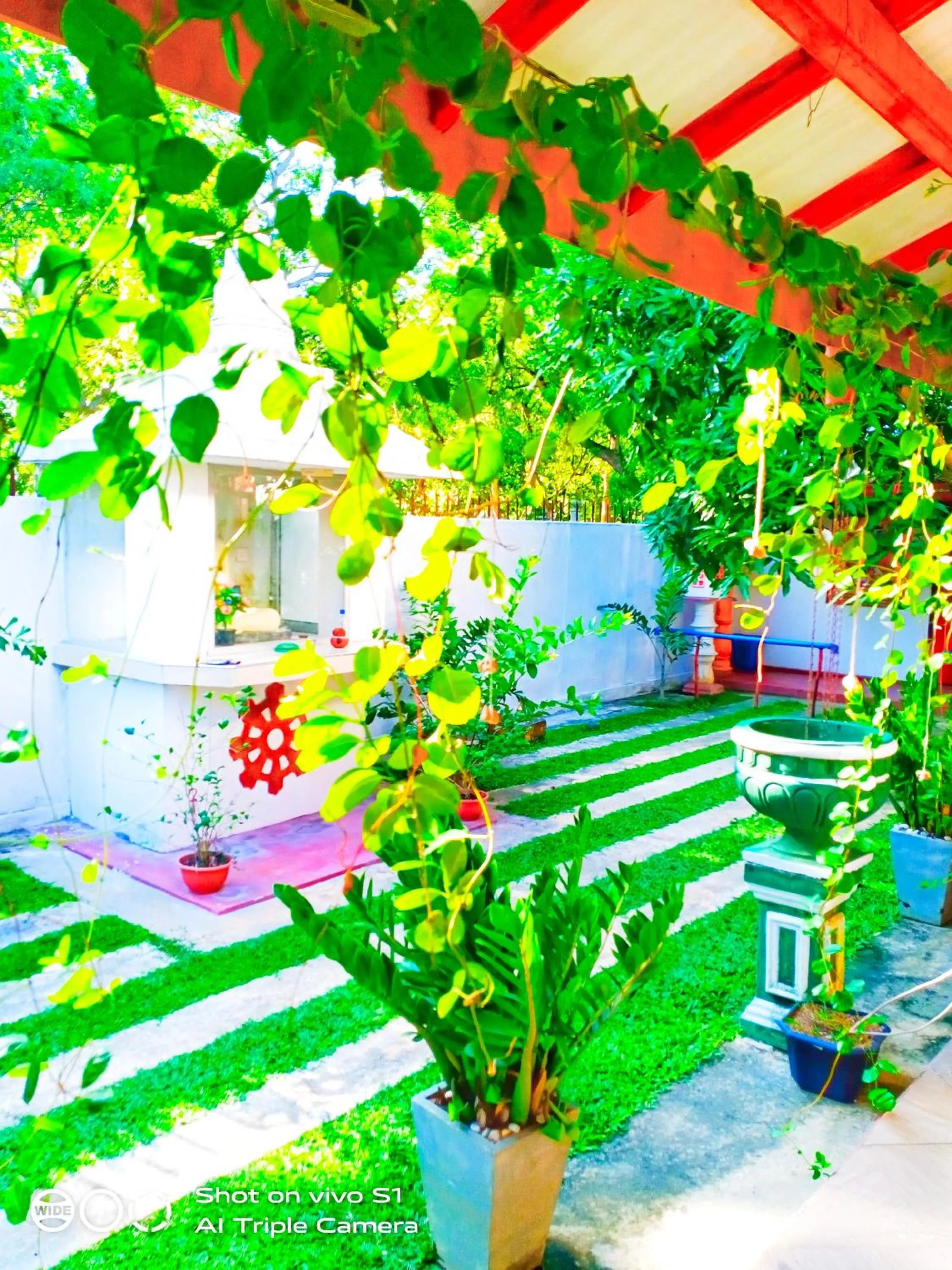 Garden in Relax Homestay