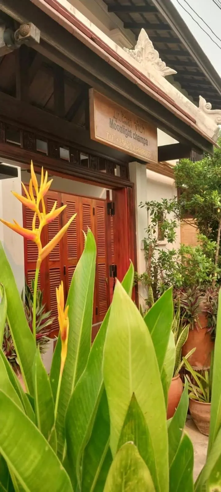 Moonlight Champa Riverview