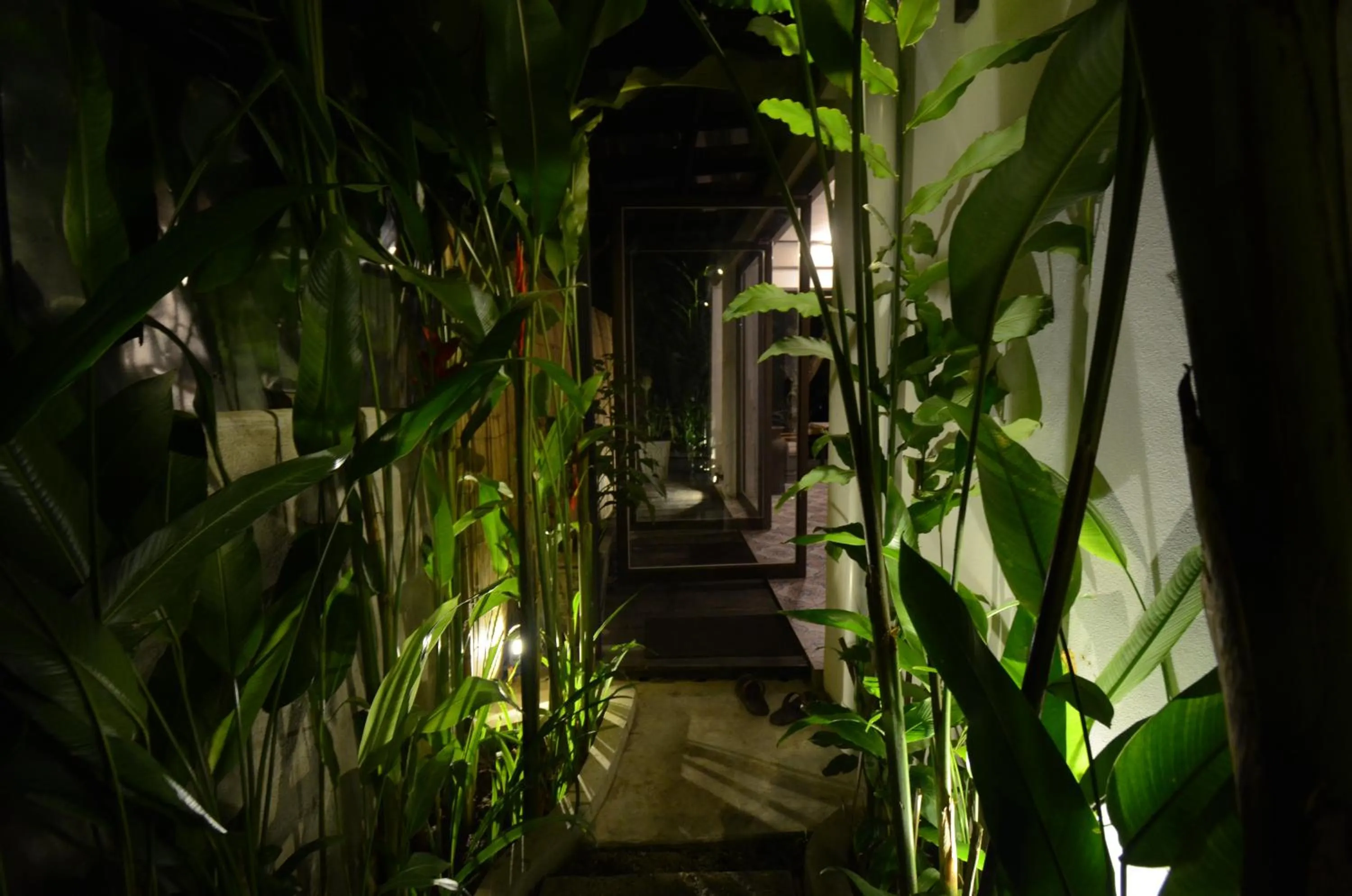 Moonlight Champa Riverview