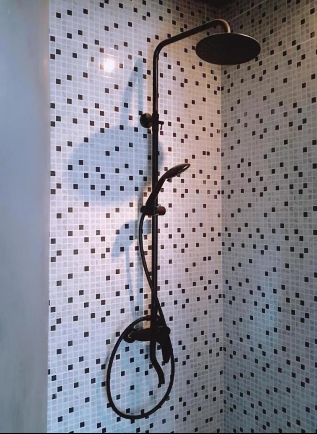 Moonlight Champa Riverview