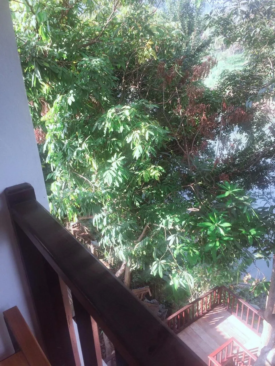 Moonlight Champa Riverview