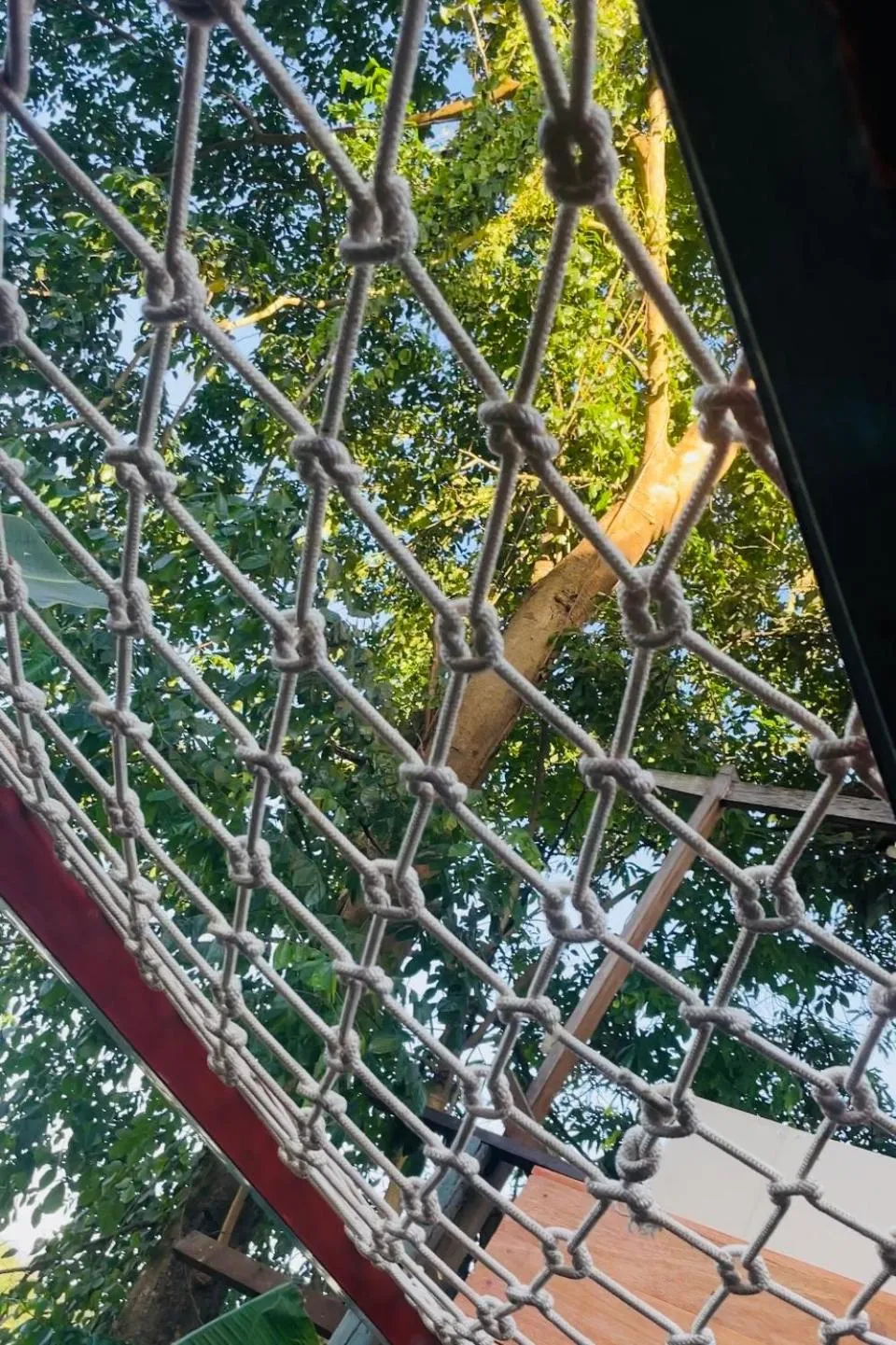 Moonlight Champa Riverview