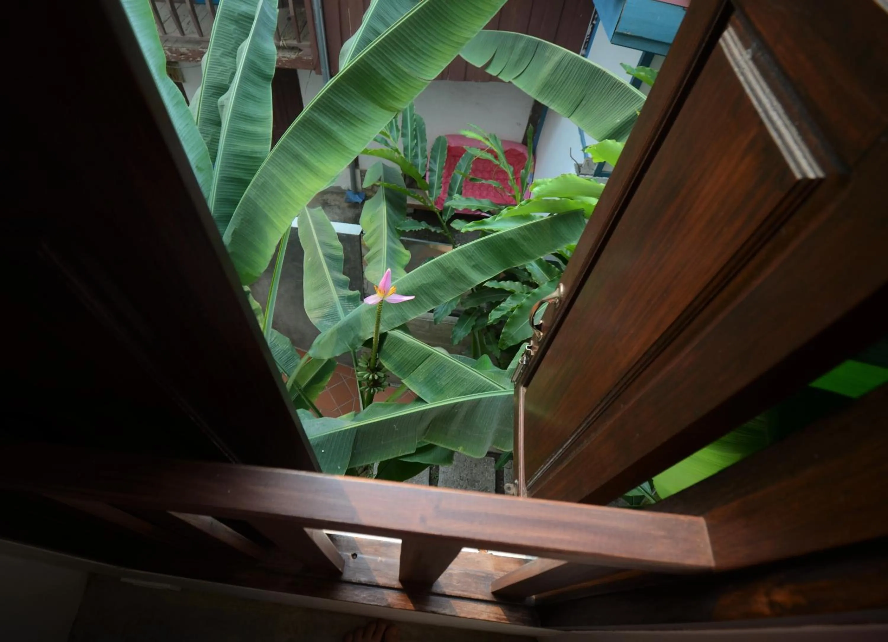 Moonlight Champa Riverview