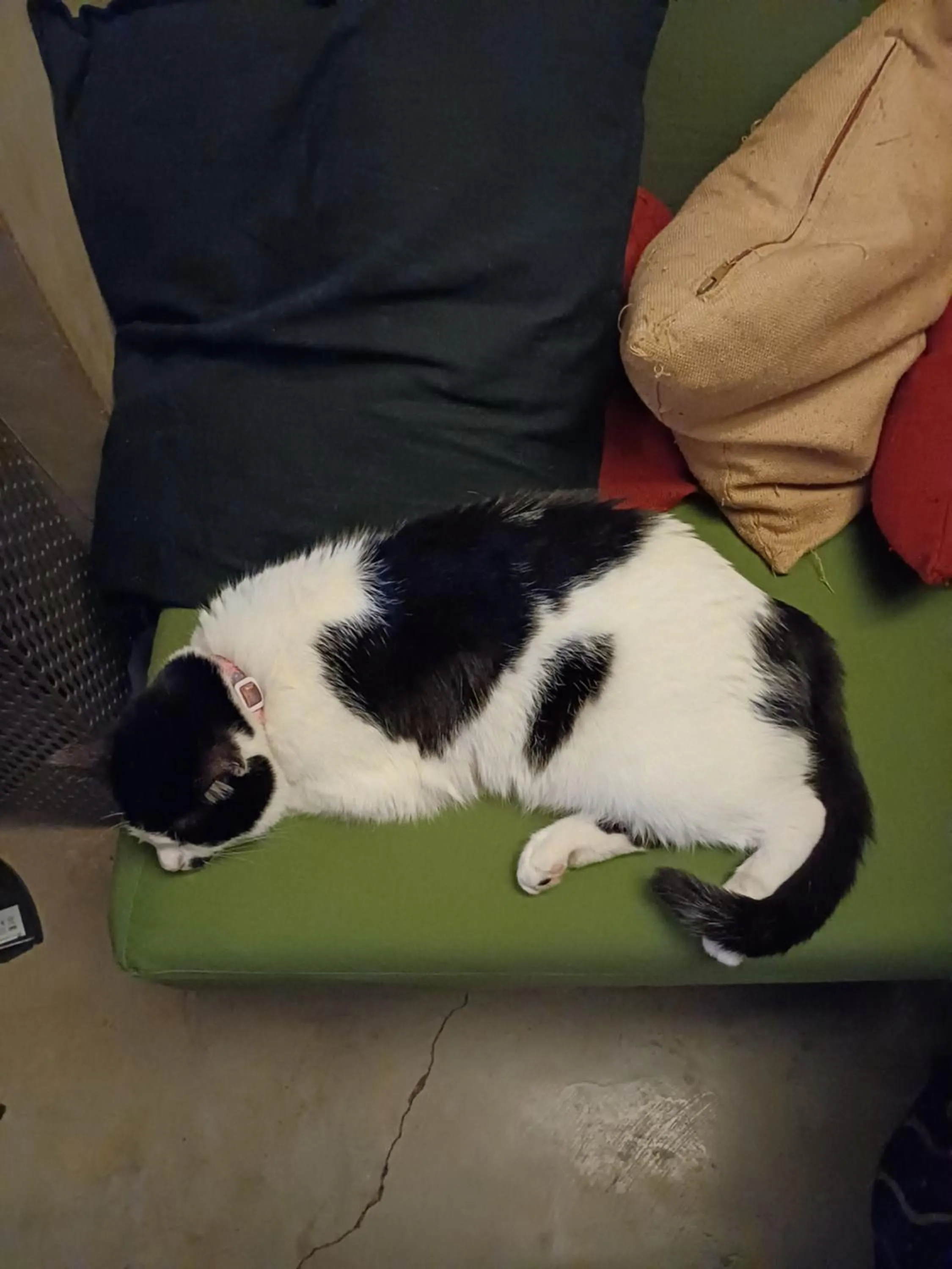 Seating area in Peradays