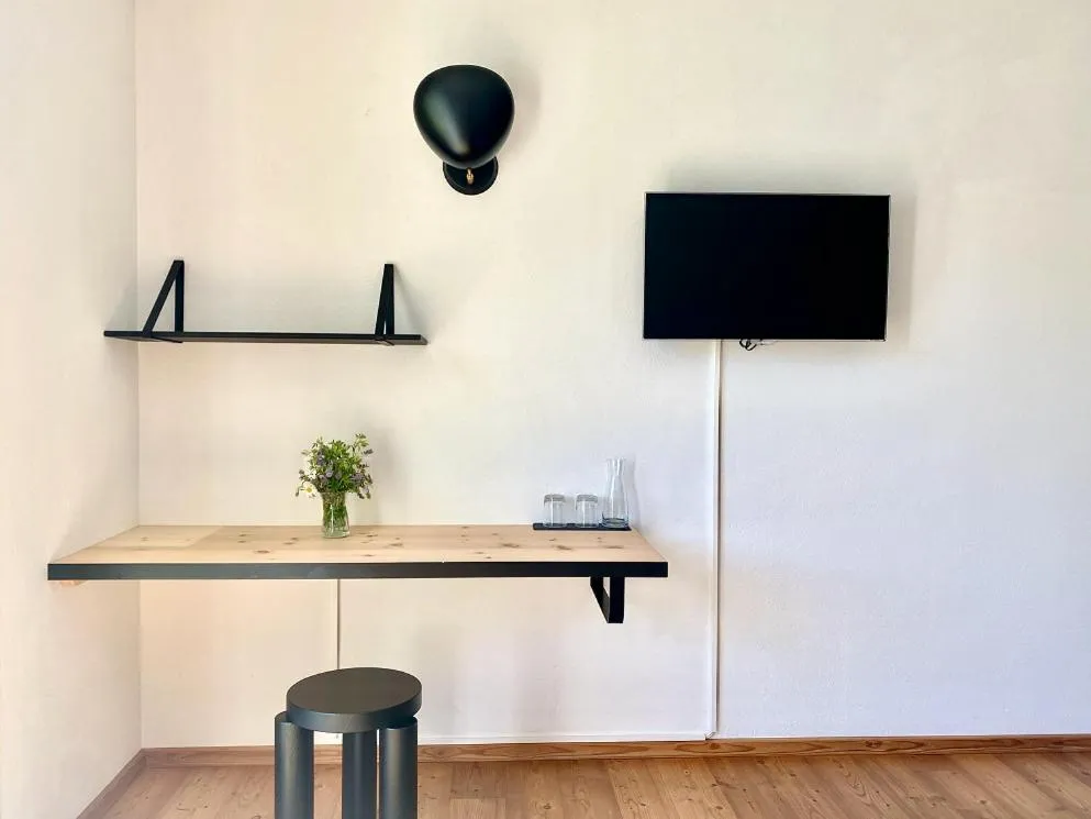 TV and multimedia in Hotel Central La Fainera Superior