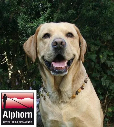 Other in Hotel Alphorn