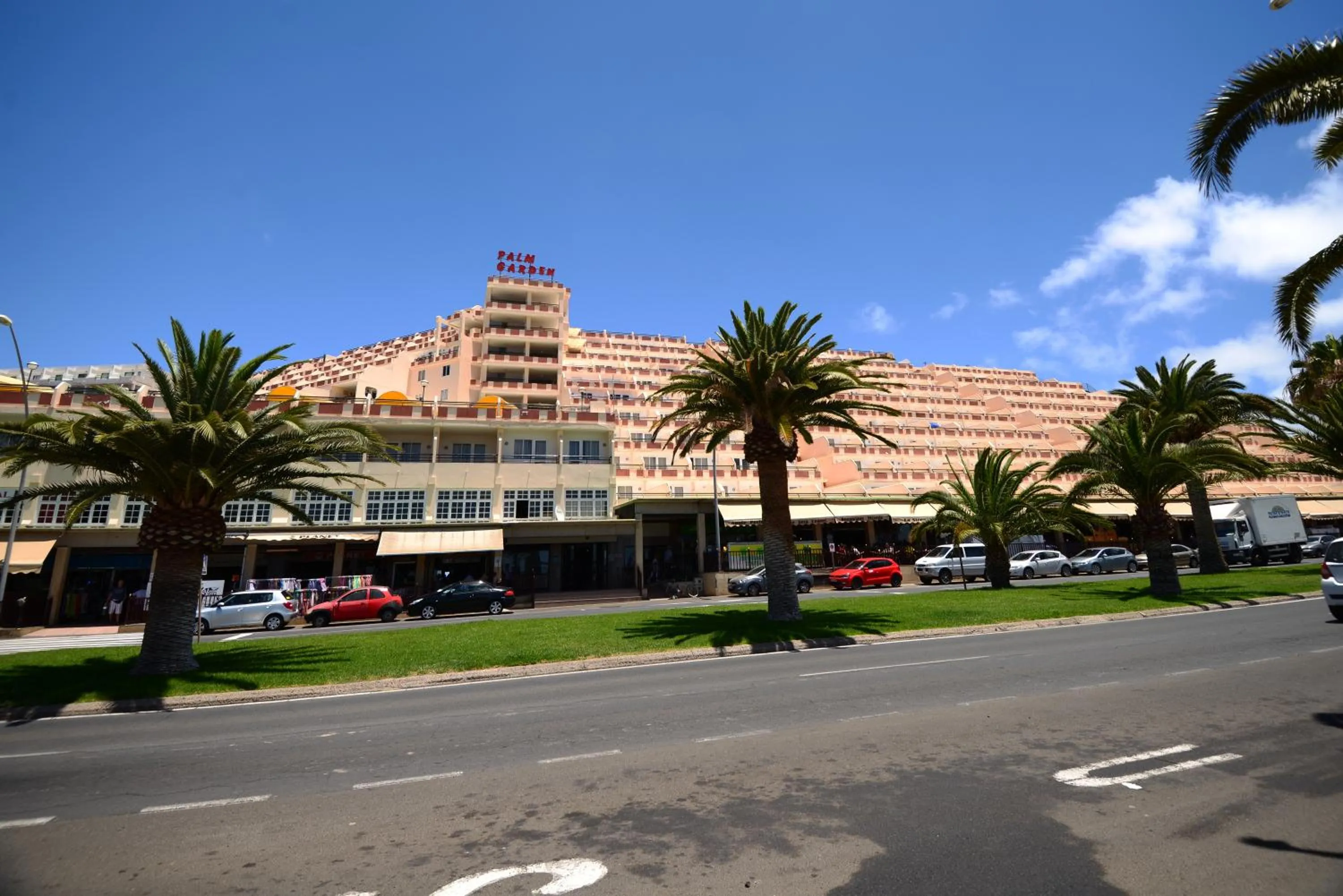 Area and facilities in Apartamentos Palm Garden