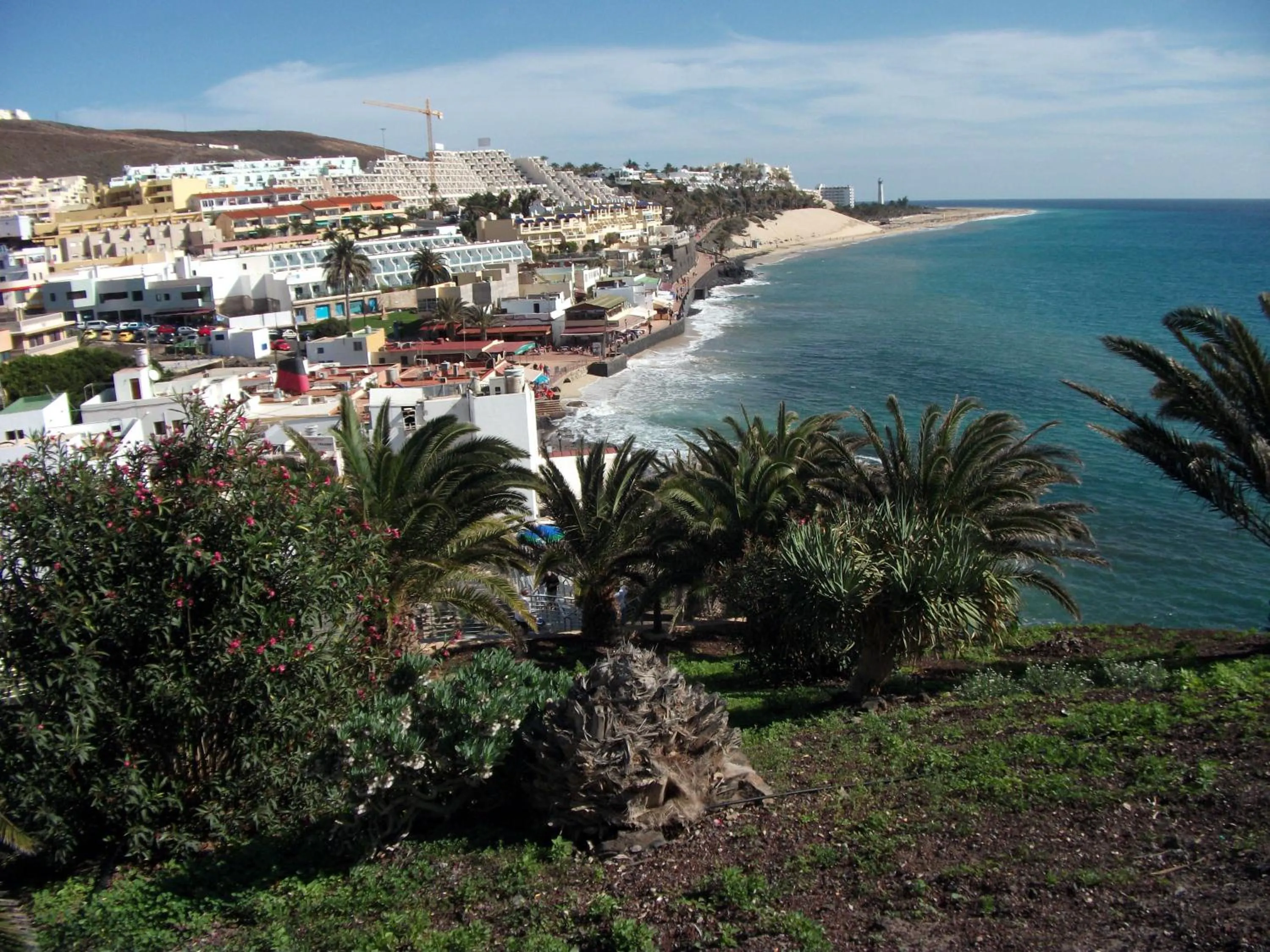 Area and facilities in Apartamentos Palm Garden