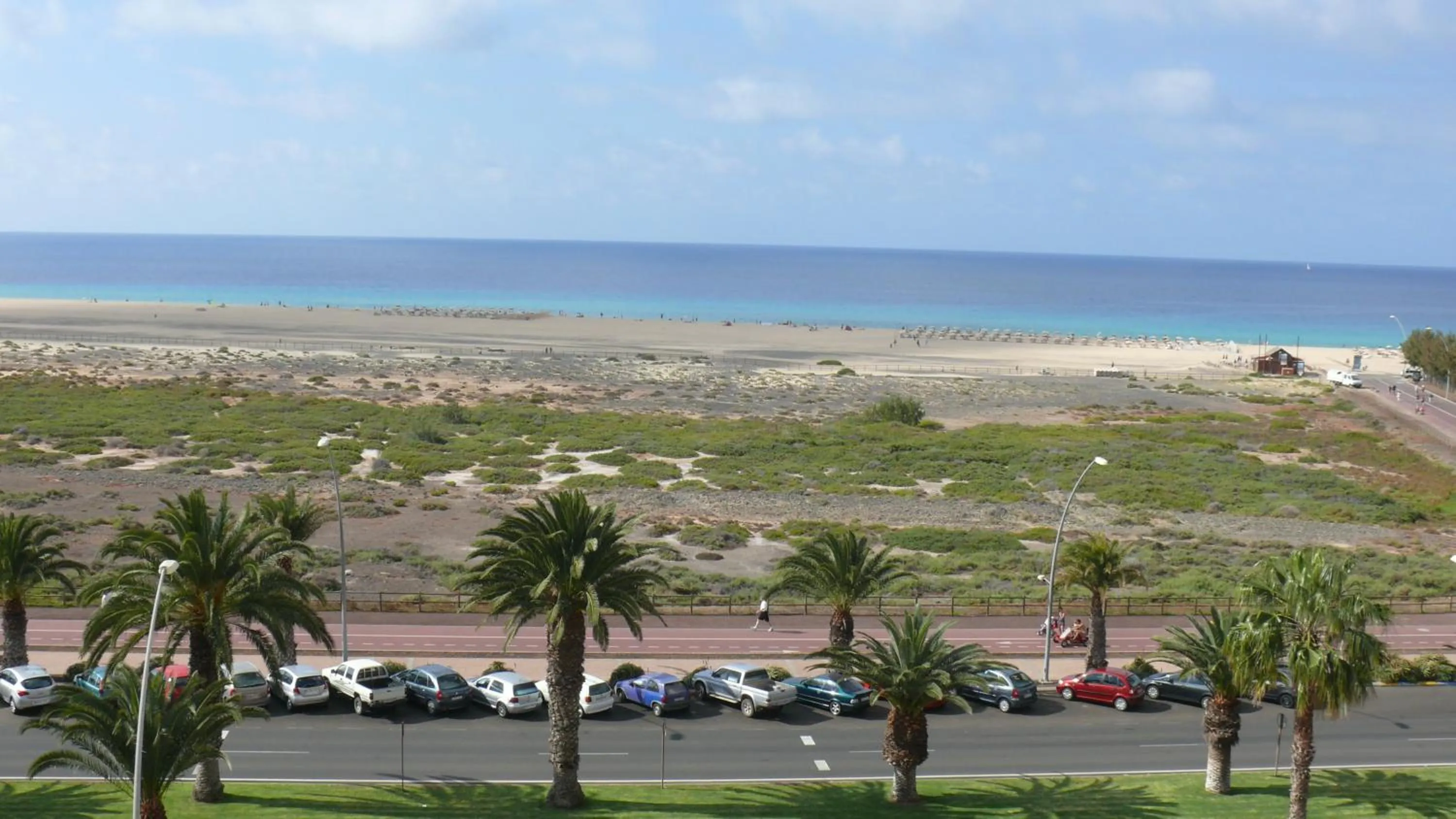 Photo of the whole room in Apartamentos Palm Garden