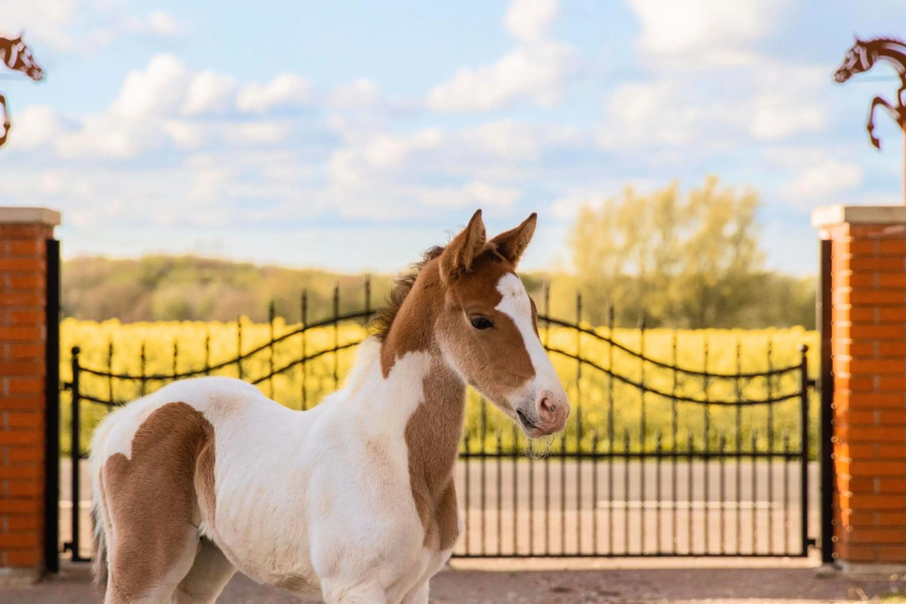 Dorisberg B&B - The Stables