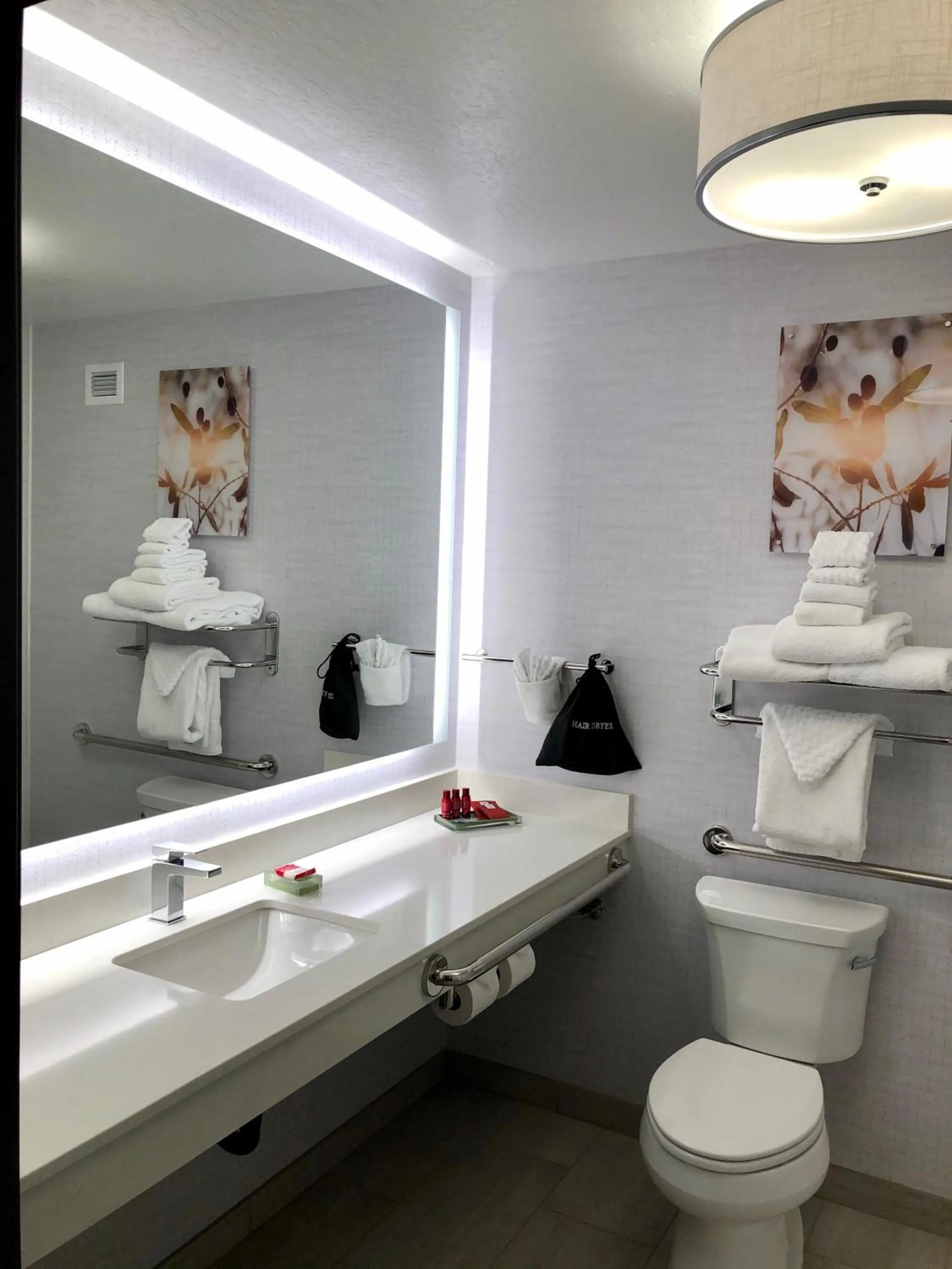 Bathroom in Best Western Premier Pasco Inn and Suites