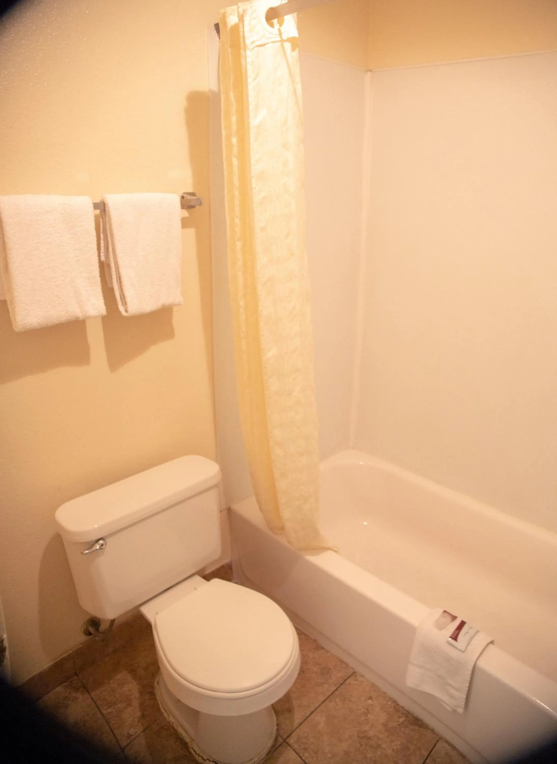 Bathroom in Budget Inn Phoenix