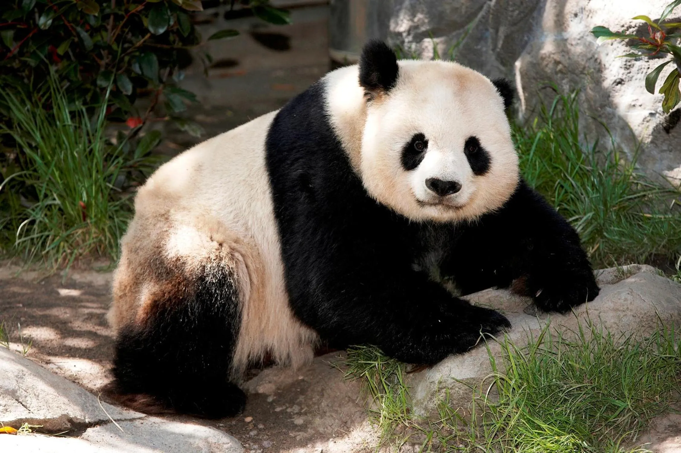 Nearby landmark in Courtyard by Marriott San Diego Downtown Little Italy