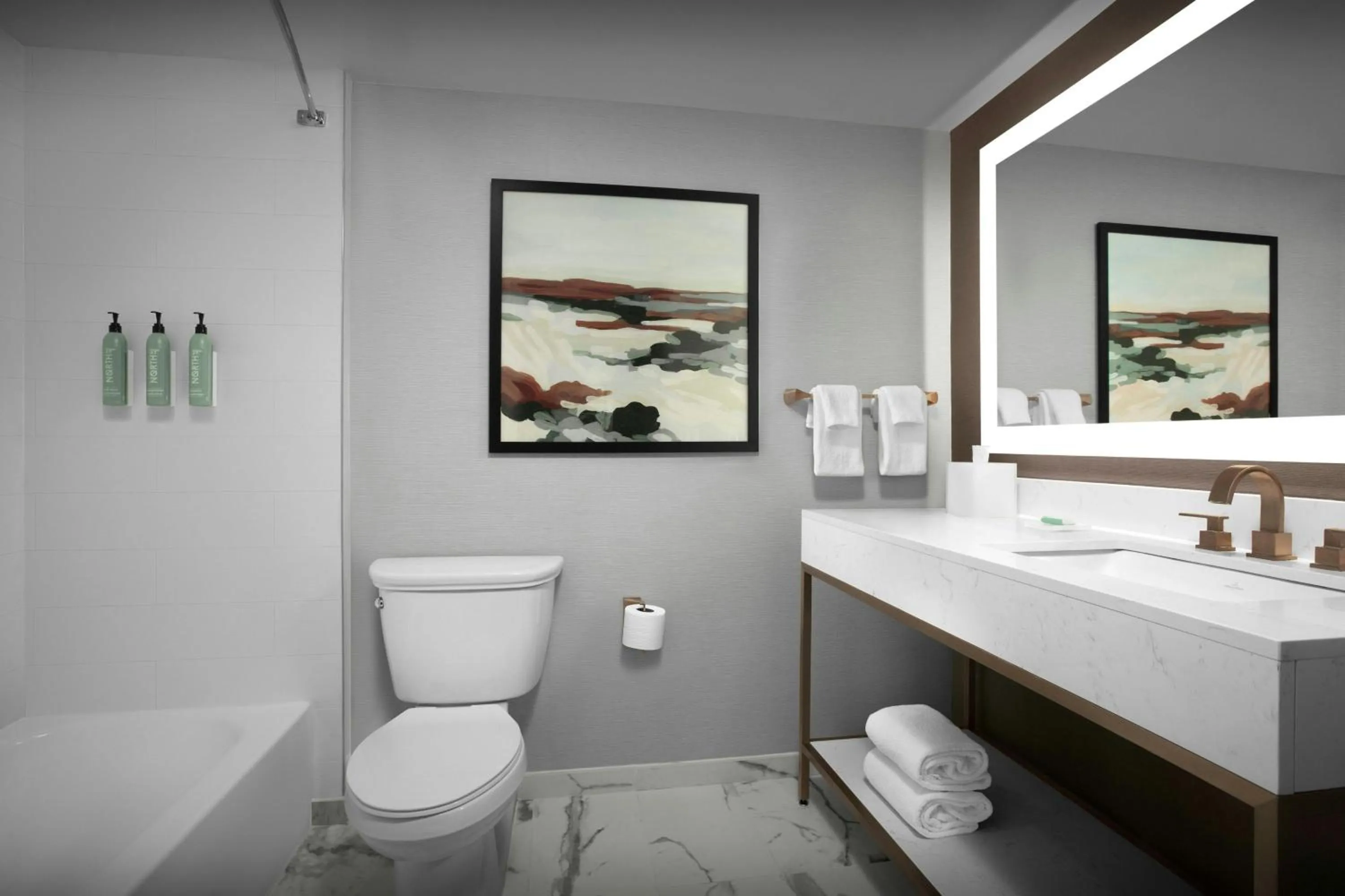 Bathroom in Courtyard by Marriott San Diego Downtown Little Italy